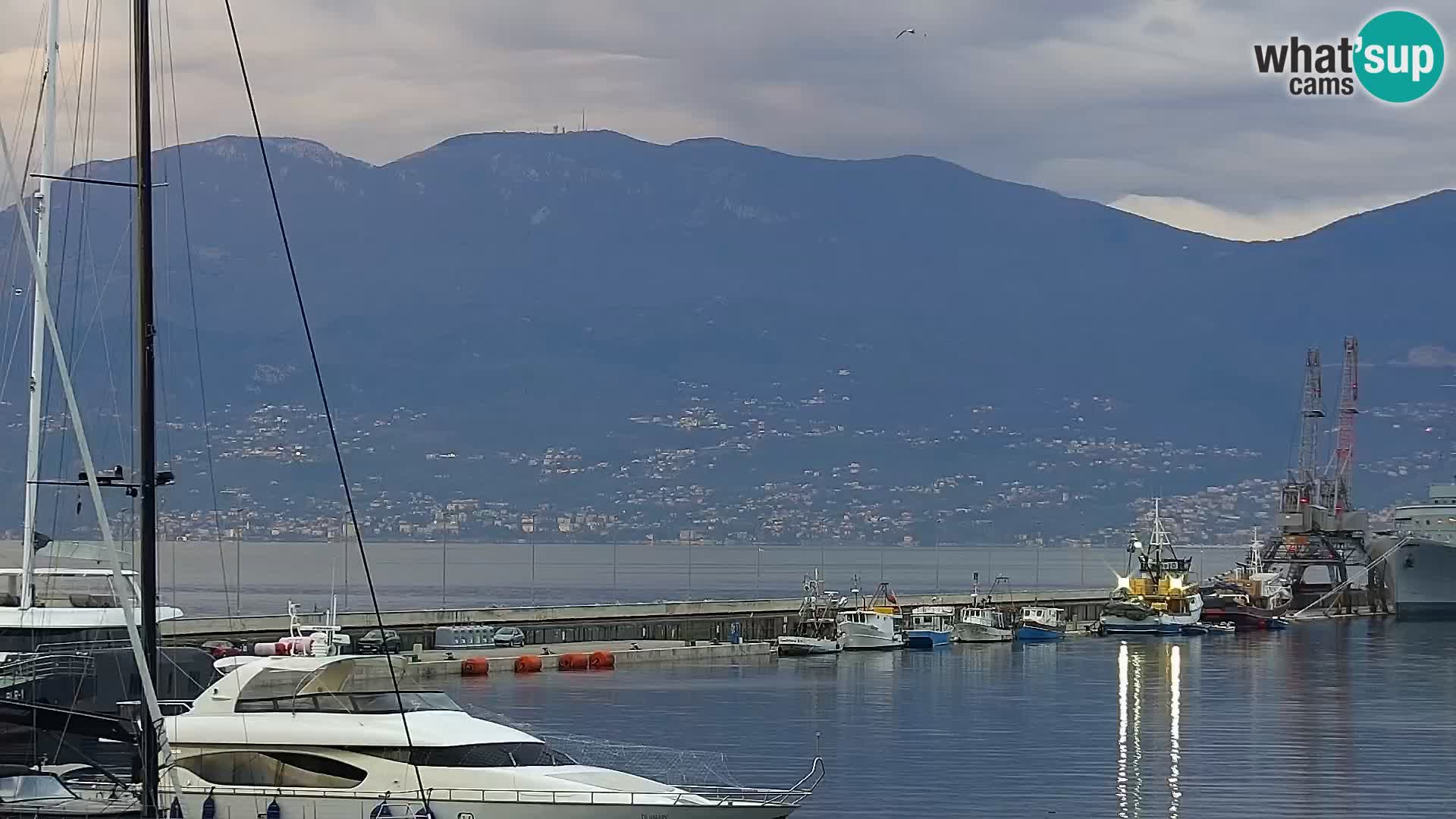 La Riva y Marina en Rijeka – Webcam en vivo Croacia