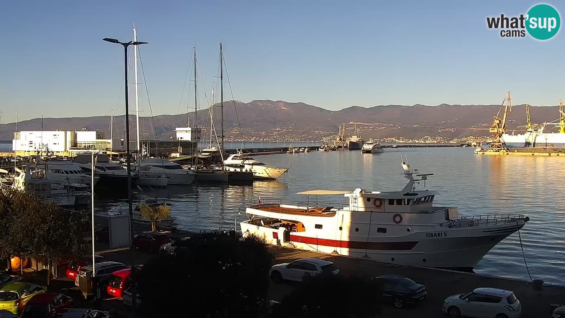 Riva i Marina u Rijeci – Web kamera uživo u Hrvatskoj