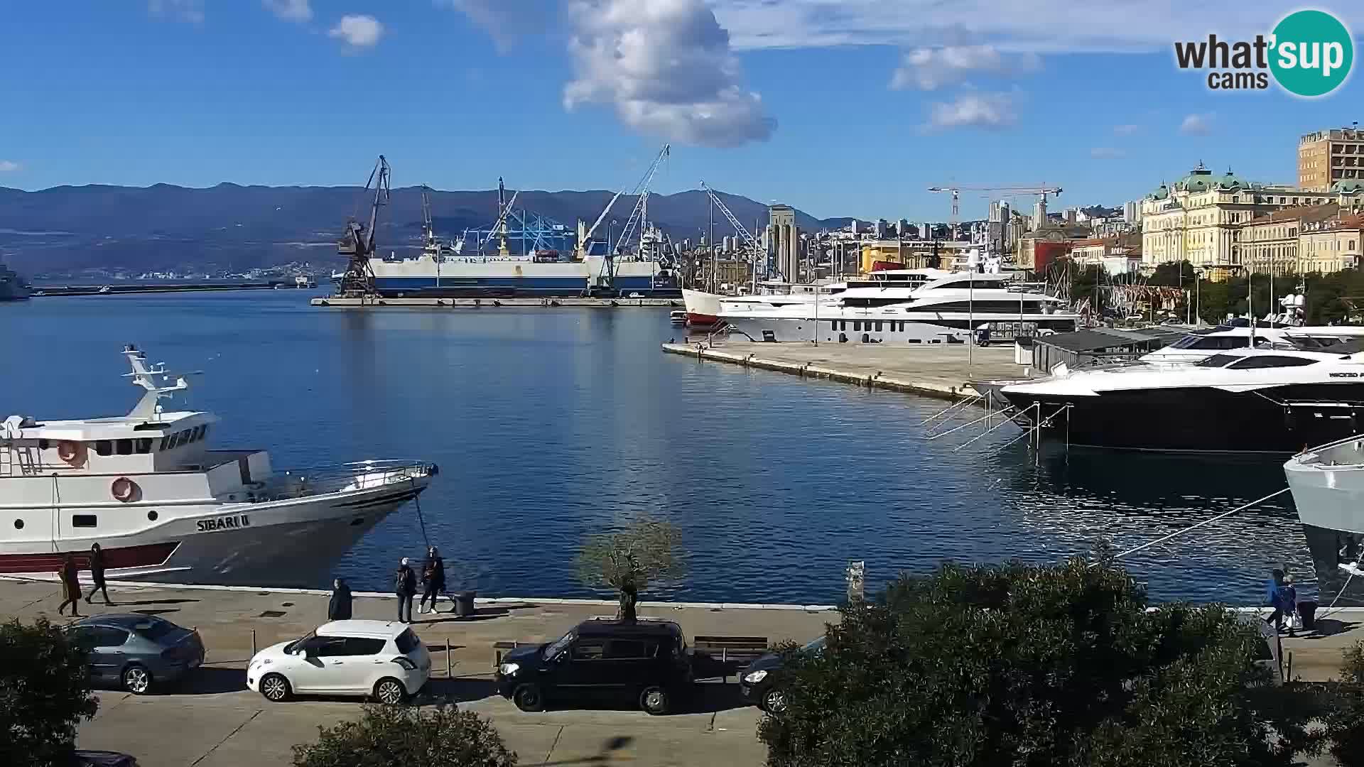 Die Riva und Marina in Rijeka – Live Webcam Kroatien