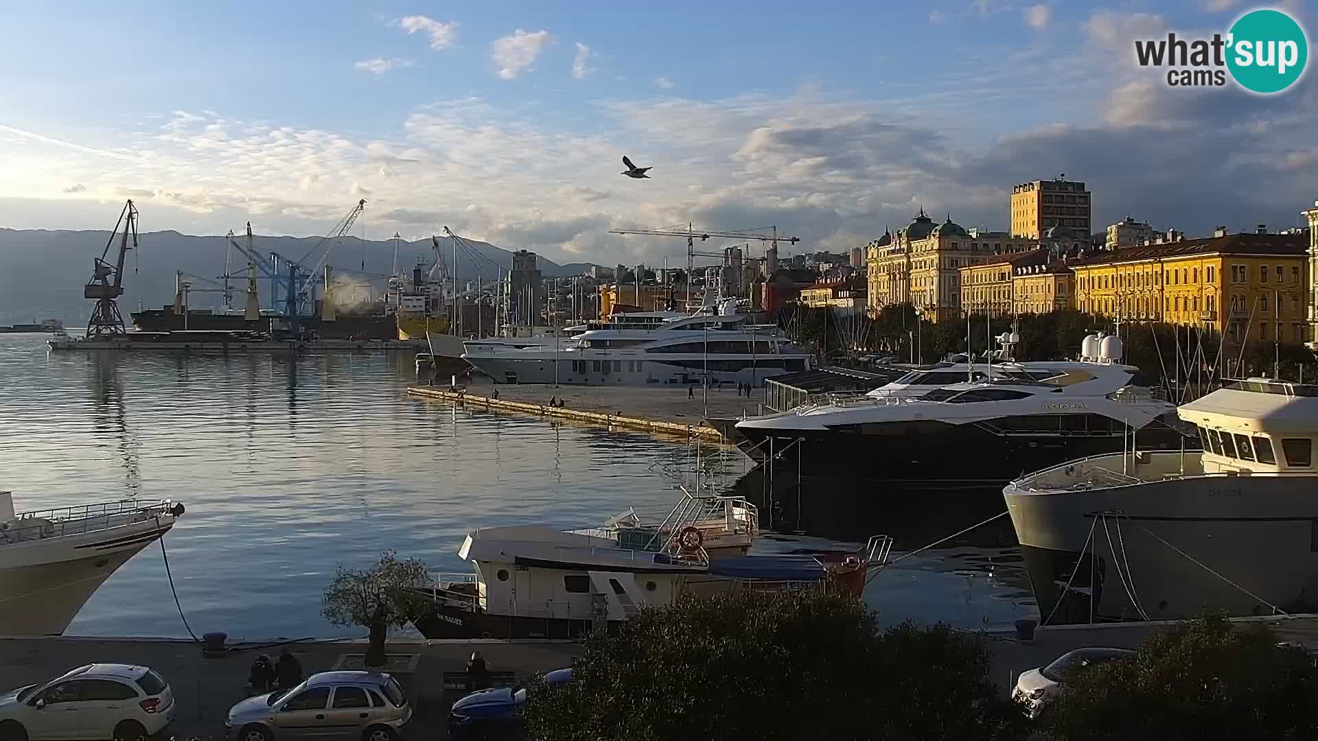 La Riva et Marina à Rijeka – Live Webcam Croatie