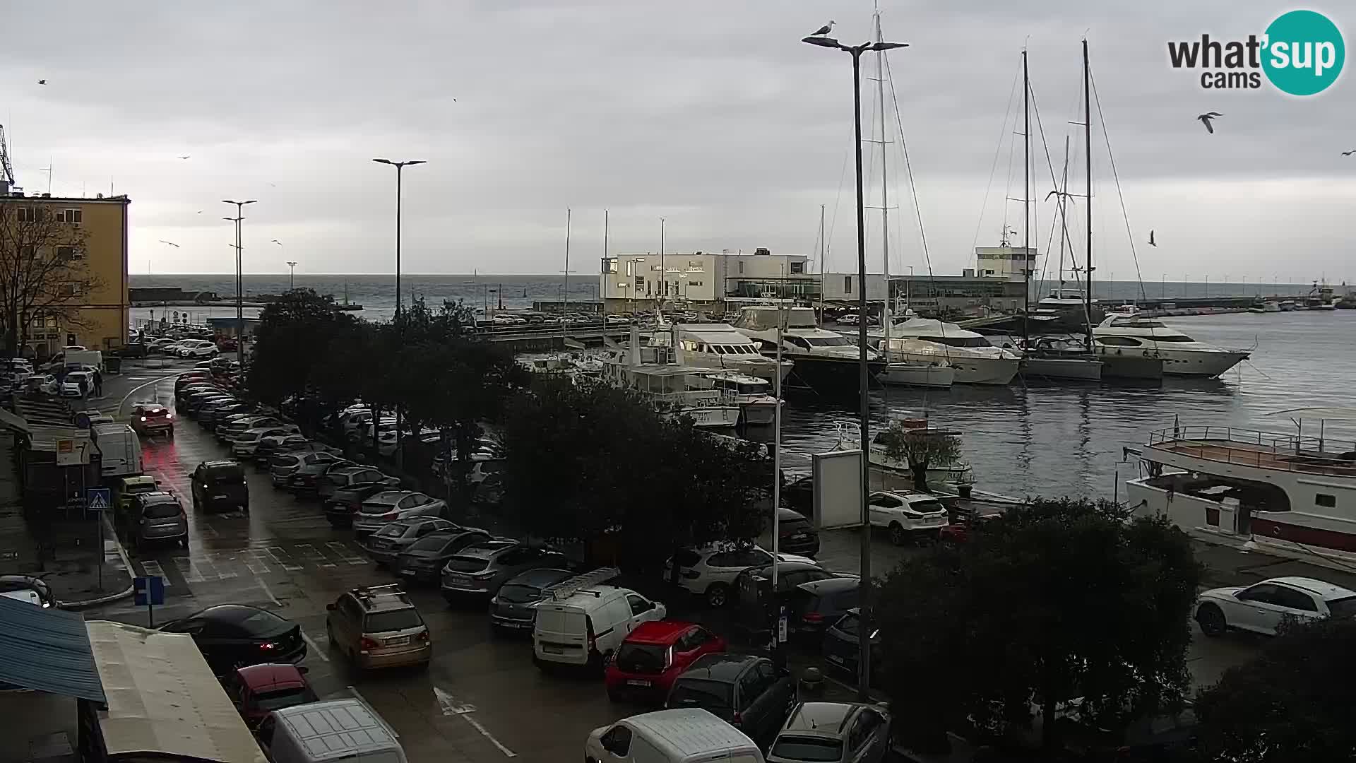 Riva in Marina v Reki – Spletna kamera v živo Hrvaška