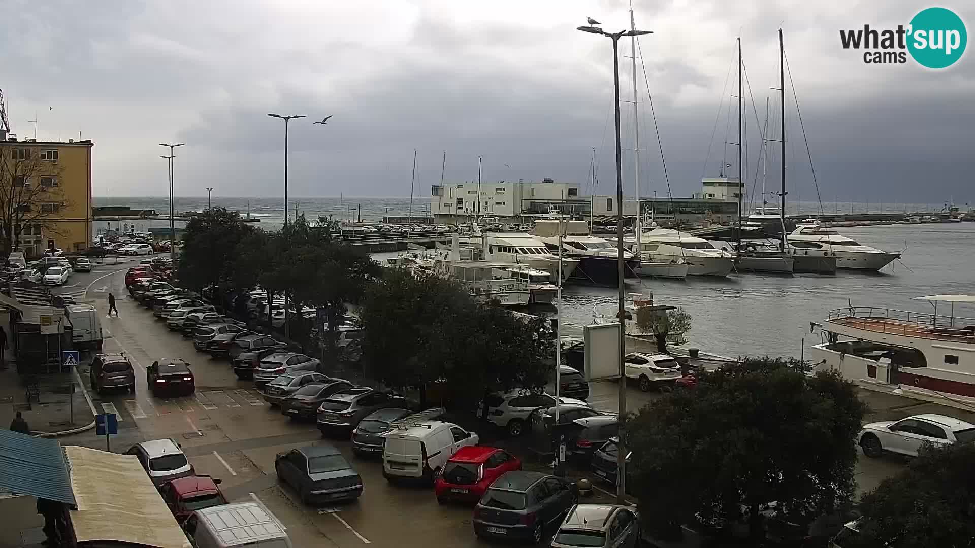 La Riva e la Marina a Rijeka (Fiume) – Live Webcam Croazia