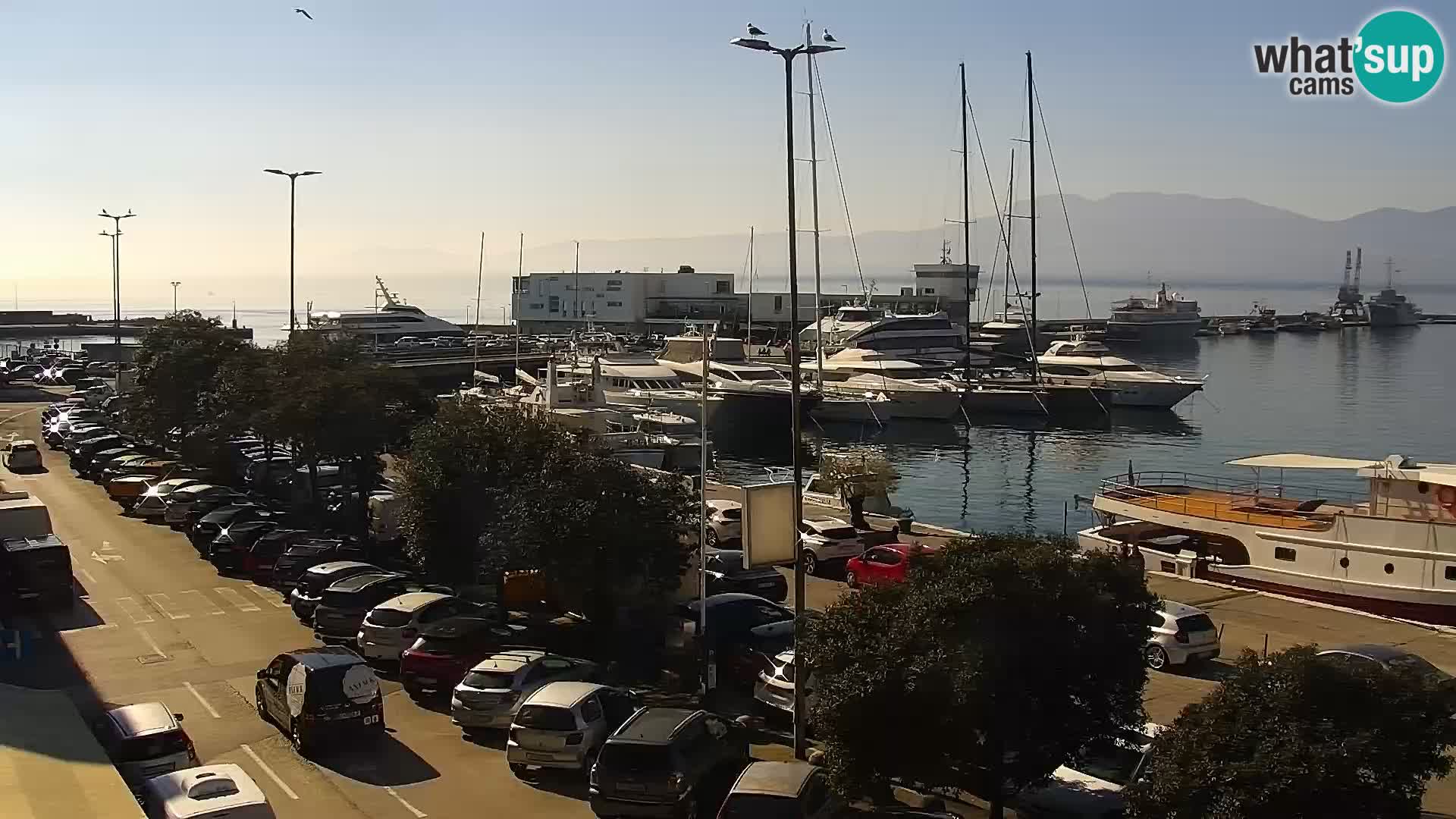 Die Riva und Marina in Rijeka – Live Webcam Kroatien