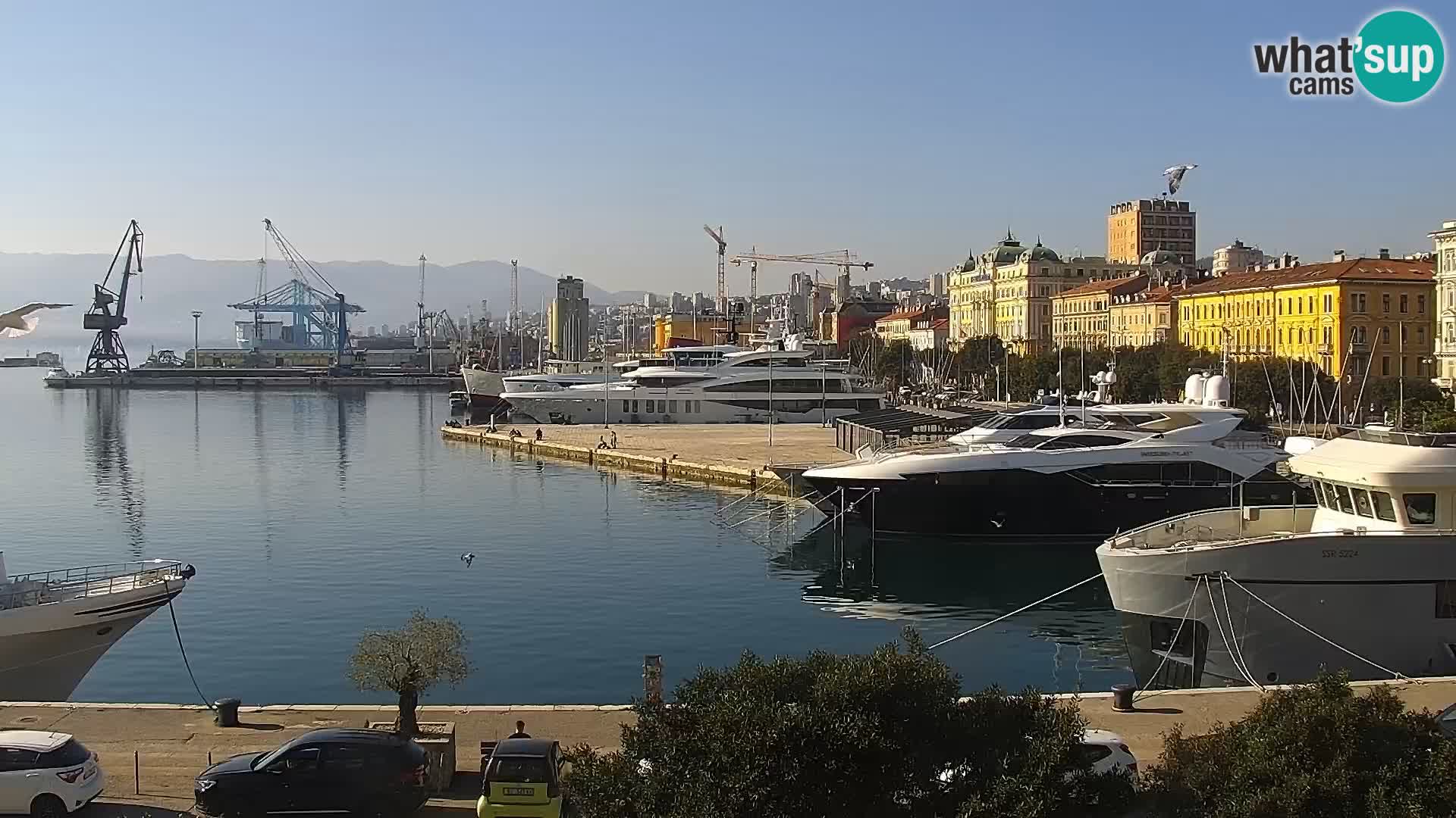 La Riva et Marina à Rijeka – Live Webcam Croatie