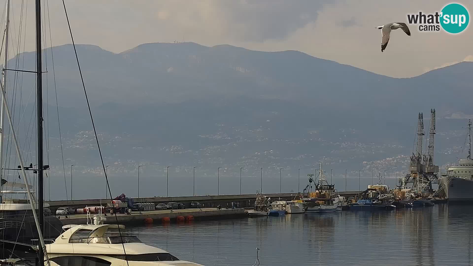 Riva in Marina v Reki – Spletna kamera v živo Hrvaška