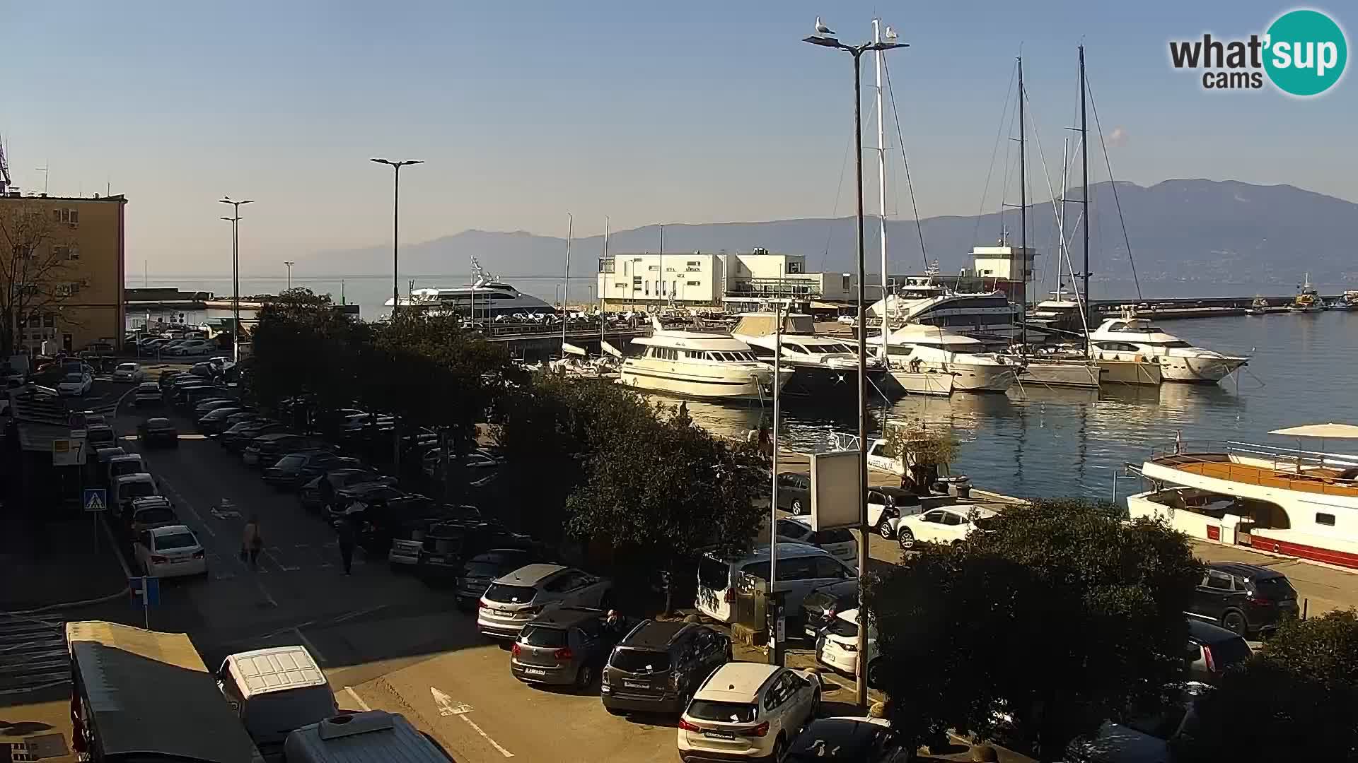 Riva in Marina v Reki – Spletna kamera v živo Hrvaška