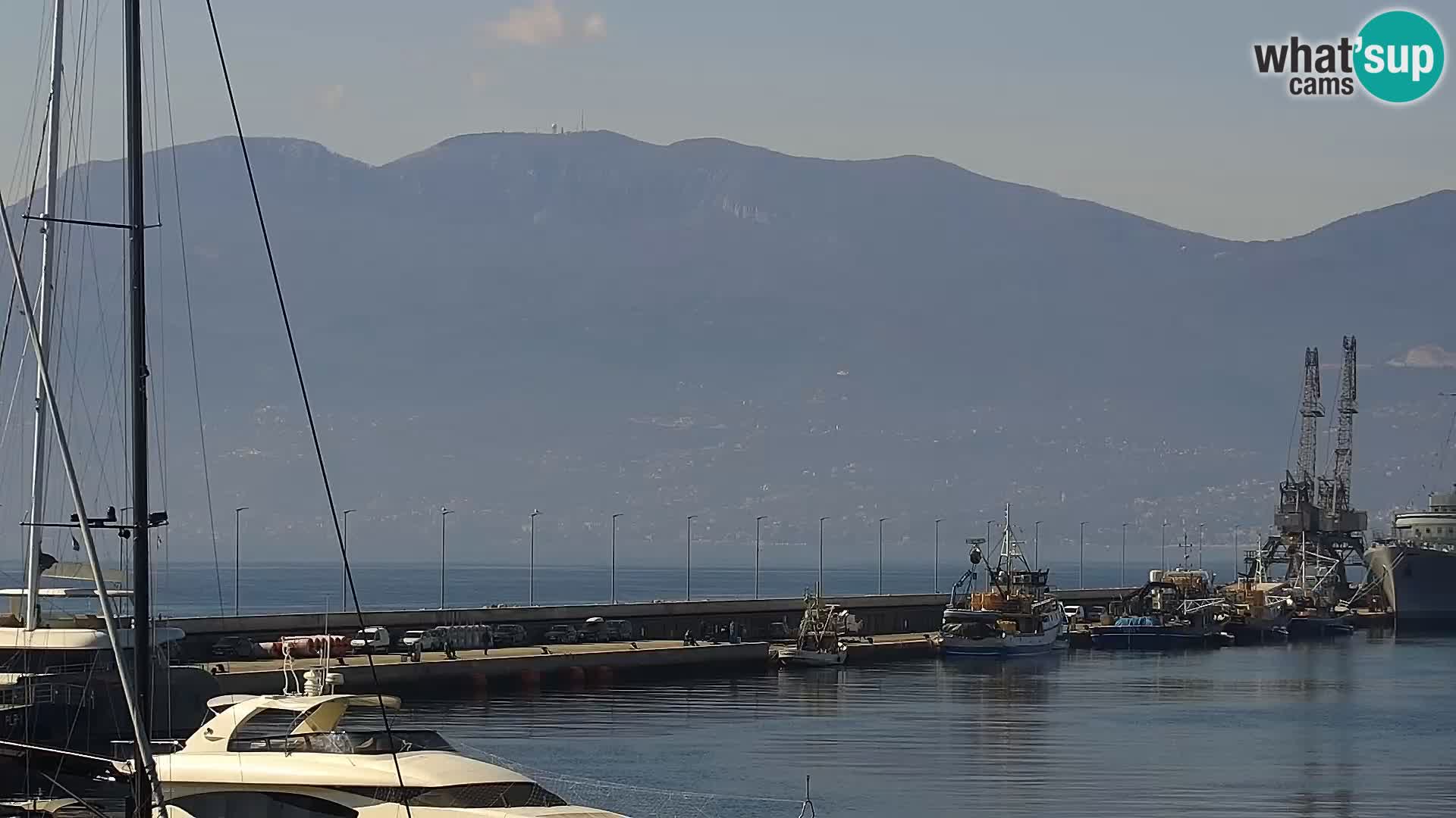 Riva in Marina v Reki – Spletna kamera v živo Hrvaška