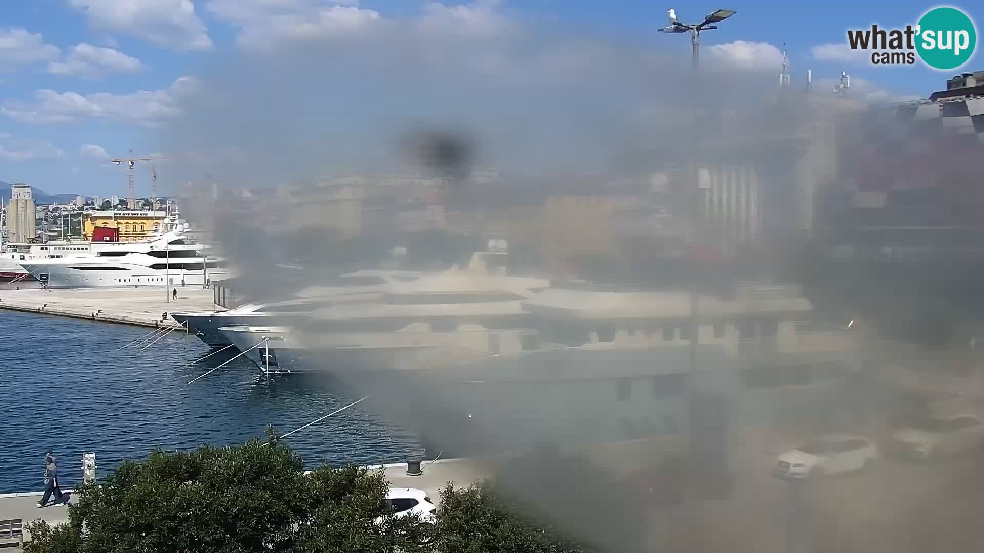 The Riva and Marina in Rijeka  – Live Webcam Croatia