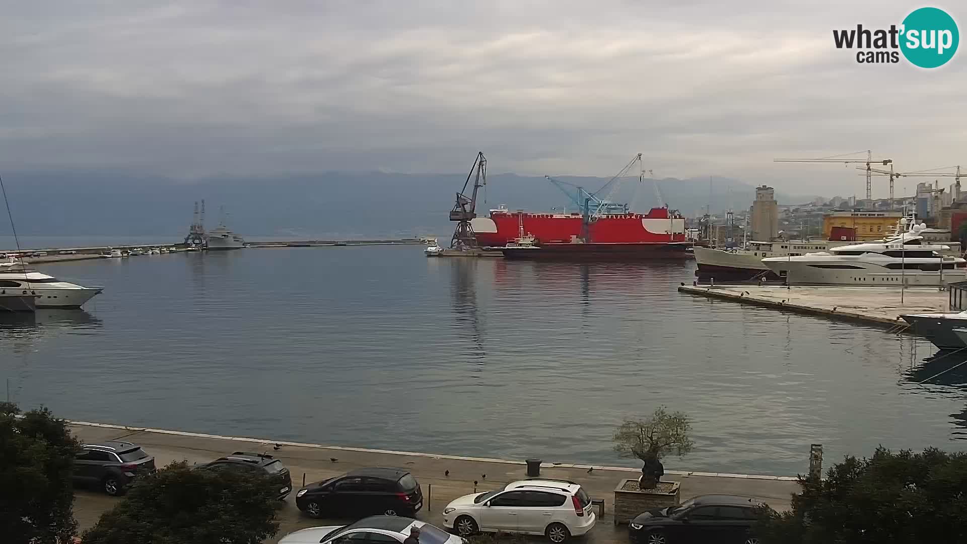 Riva in Marina v Reki – Spletna kamera v živo Hrvaška