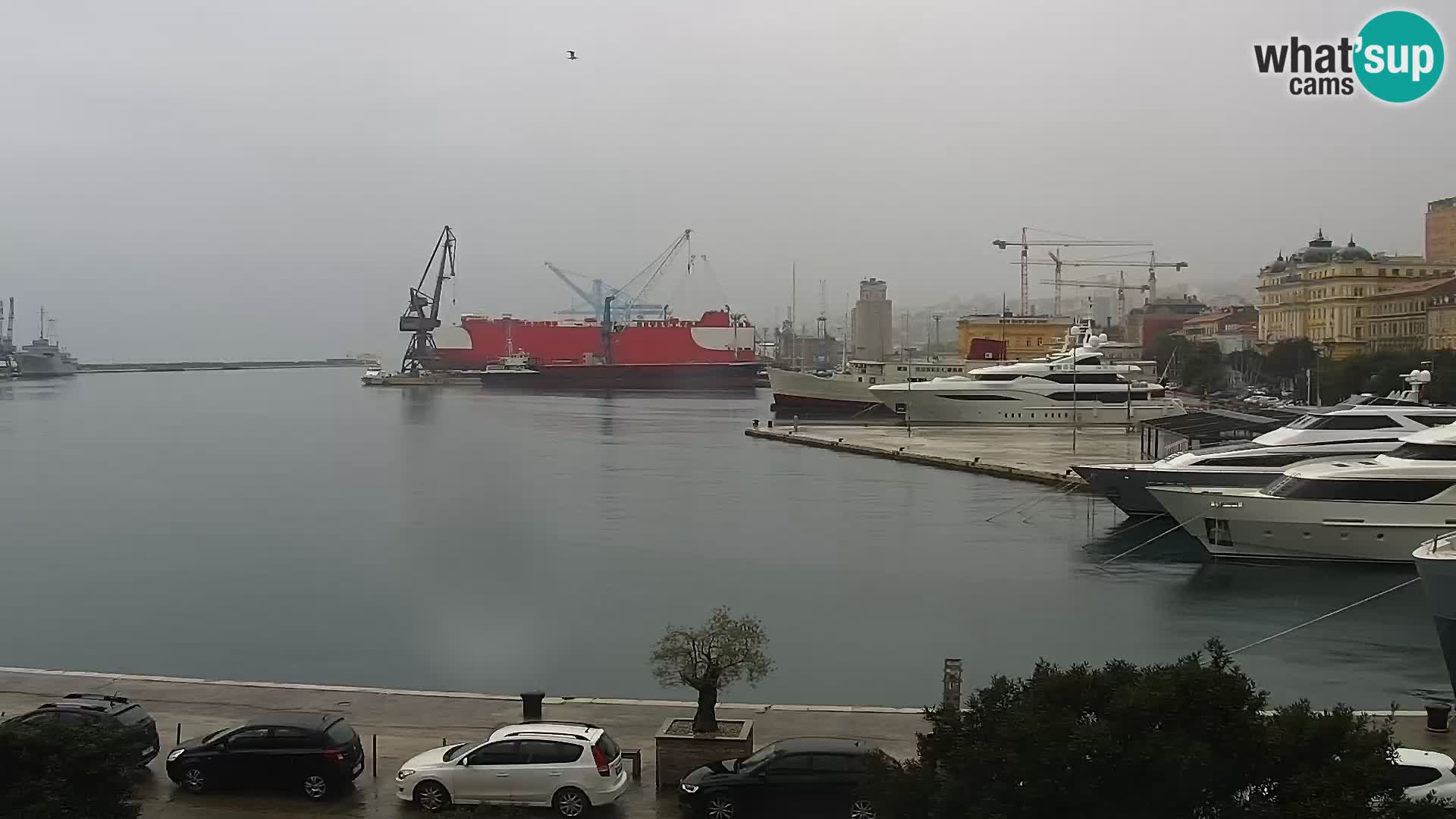 Die Riva und Marina in Rijeka – Live Webcam Kroatien