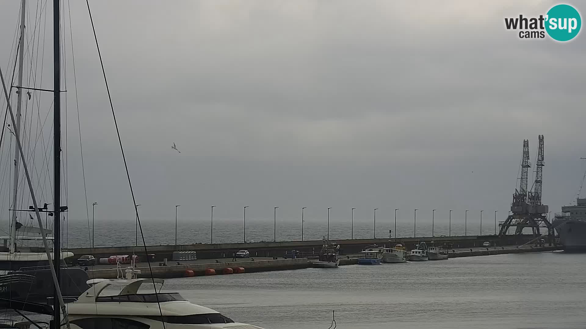 The Riva and Marina in Rijeka  – Live Webcam Croatia