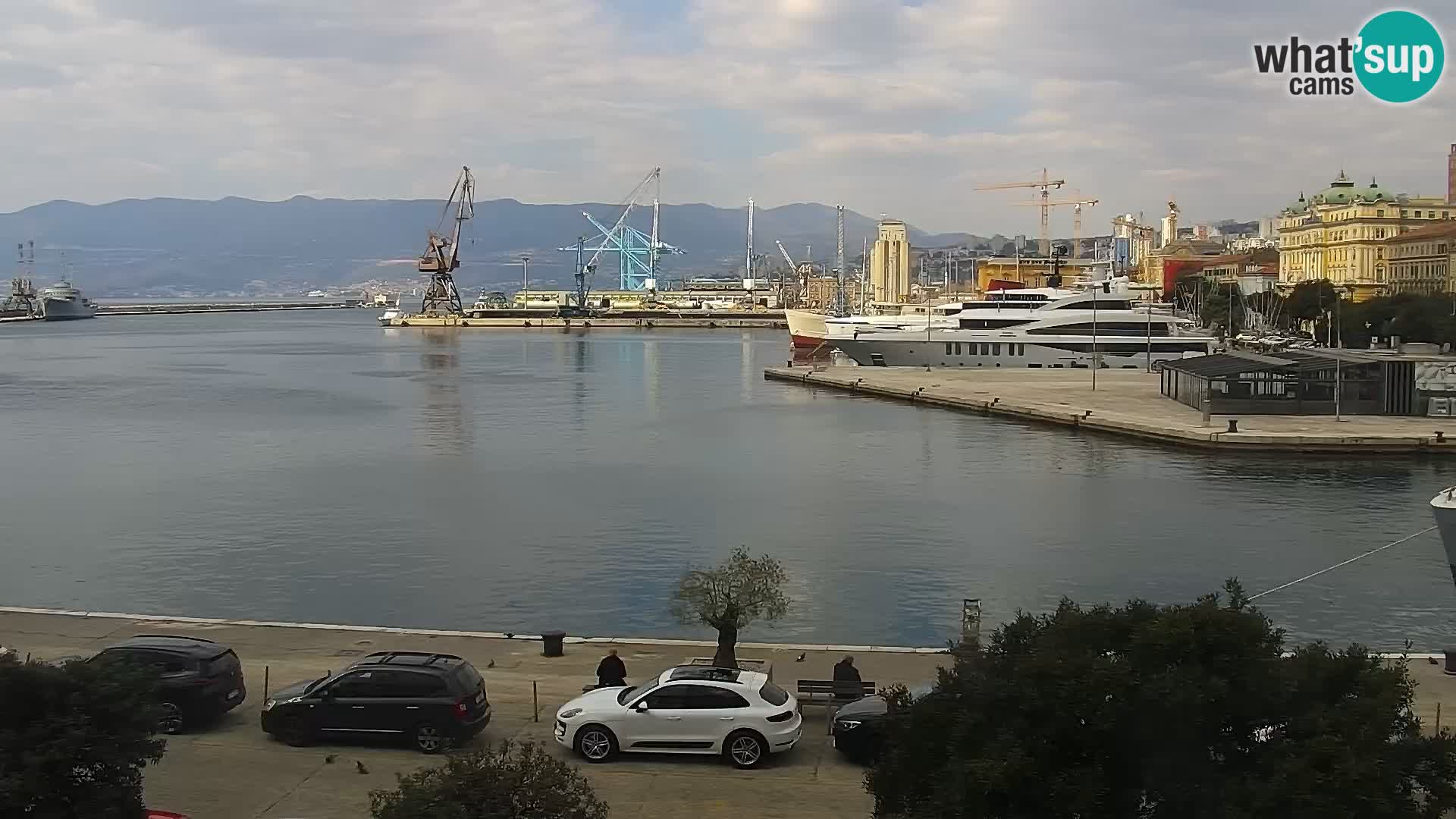 La Riva et Marina à Rijeka – Live Webcam Croatie