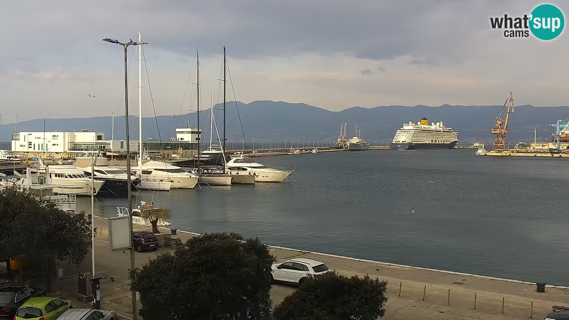 Riva i Marina u Rijeci – Web kamera uživo u Hrvatskoj