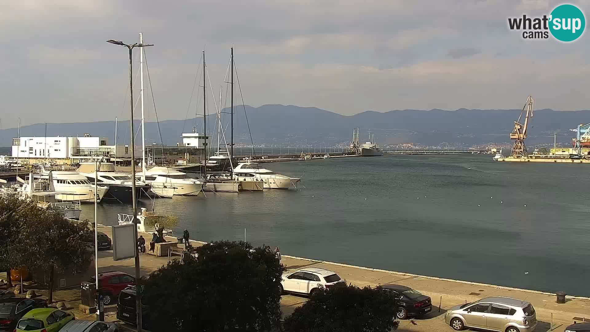 Riva i Marina u Rijeci – Web kamera uživo u Hrvatskoj