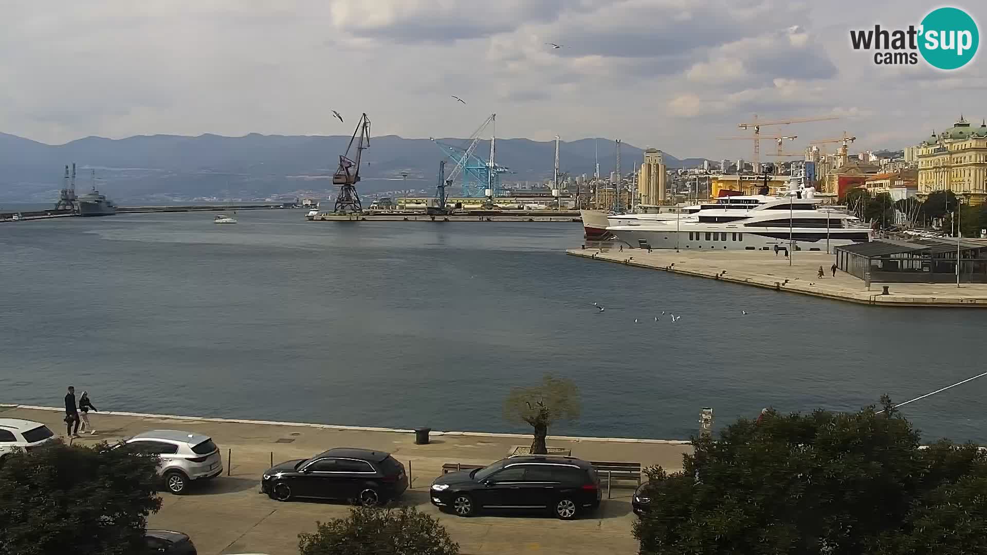 The Riva and Marina in Rijeka  – Live Webcam Croatia