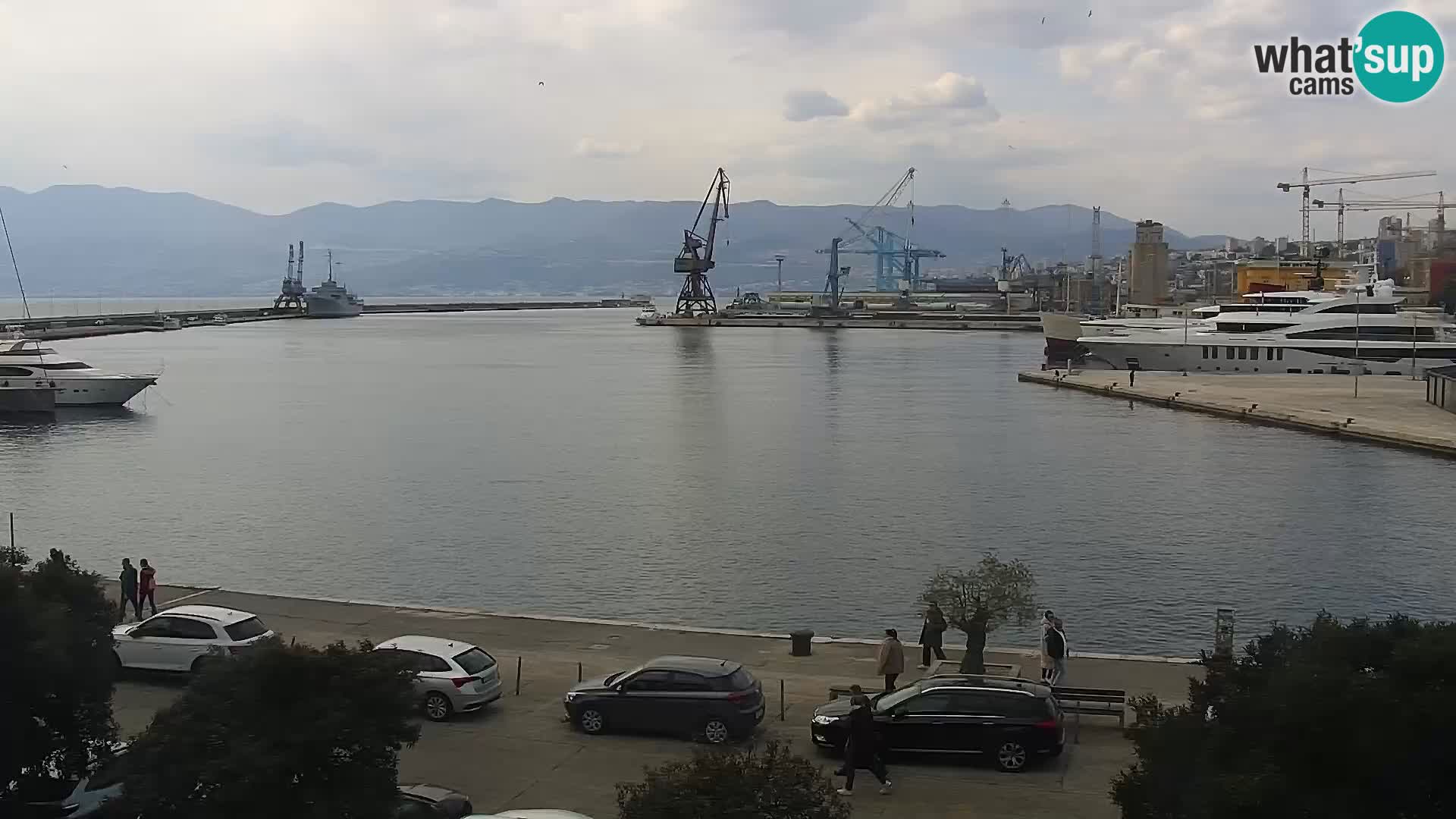 Riva i Marina u Rijeci – Web kamera uživo u Hrvatskoj