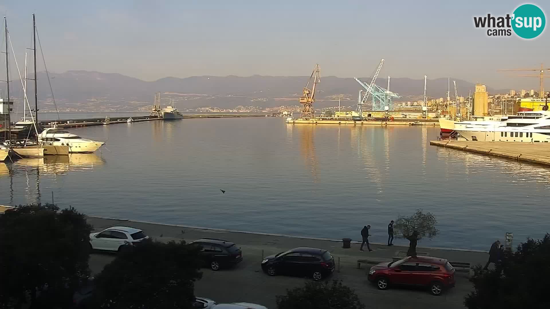Riva i Marina u Rijeci – Web kamera uživo u Hrvatskoj