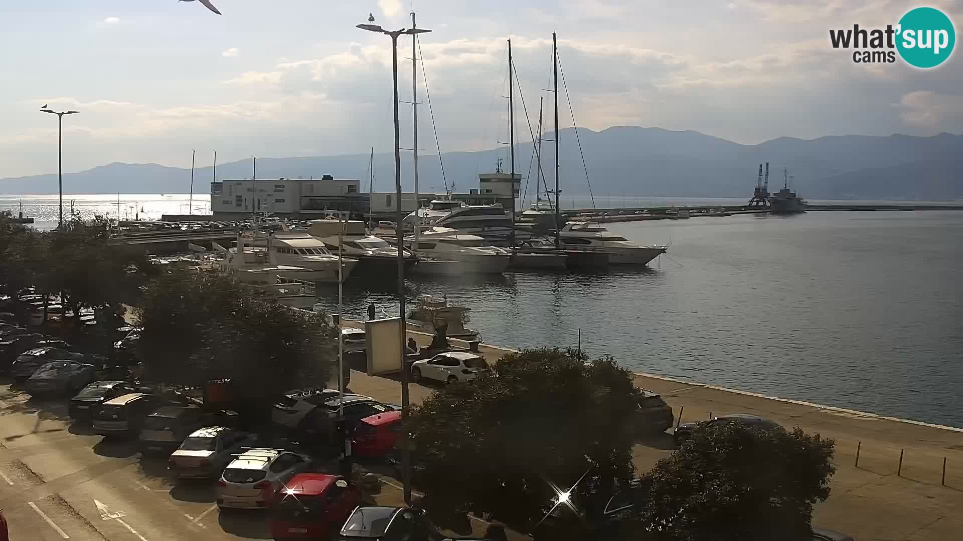 Die Riva und Marina in Rijeka – Live Webcam Kroatien