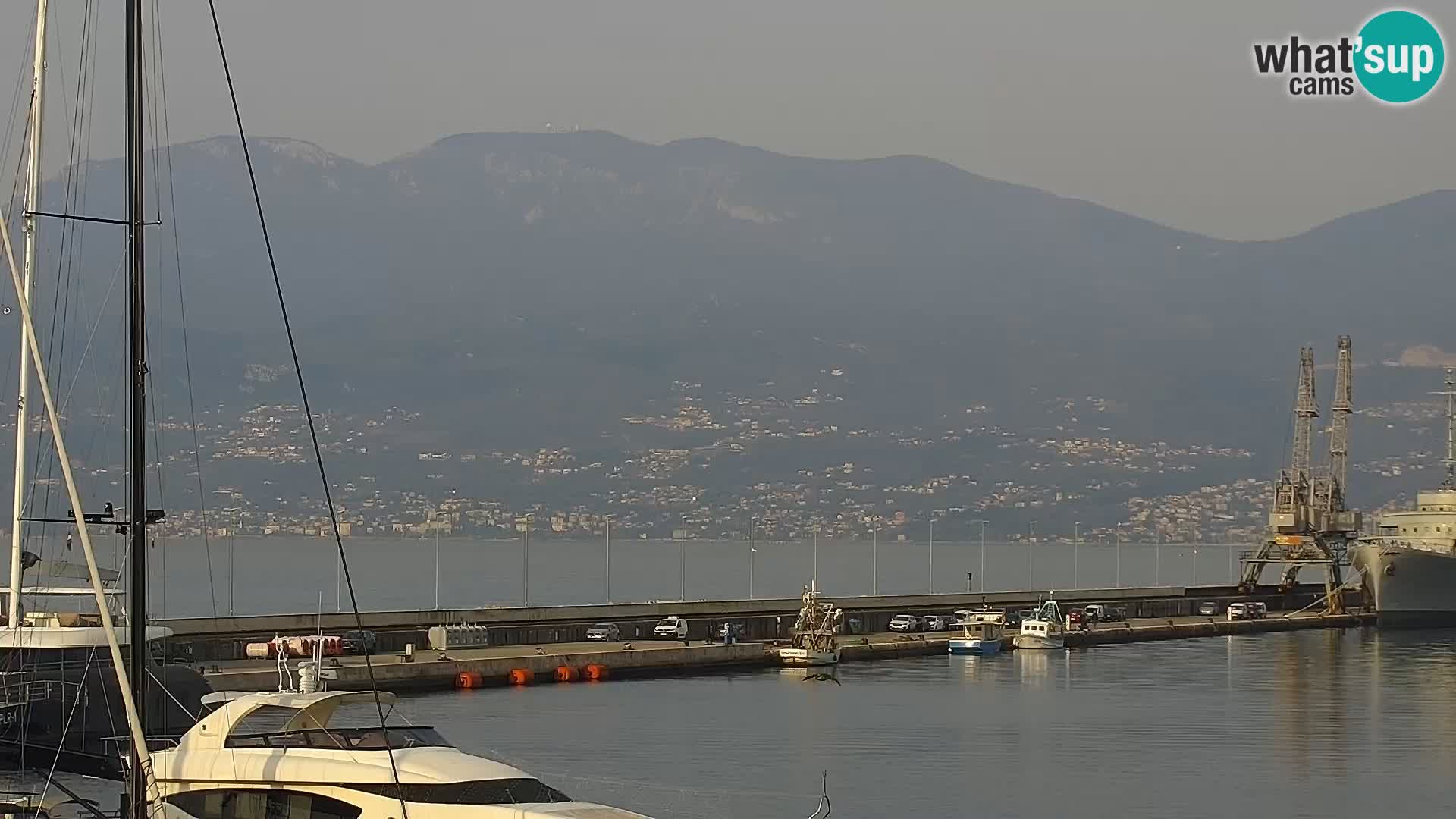 Riva in Marina v Reki – Spletna kamera v živo Hrvaška