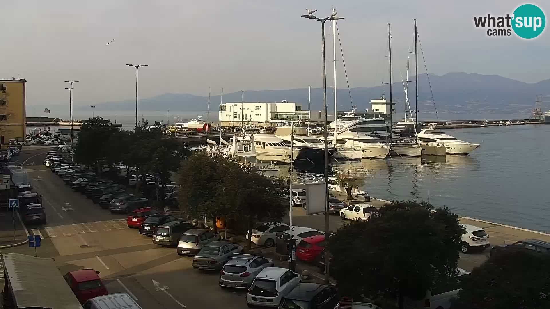 The Riva and Marina in Rijeka  – Live Webcam Croatia