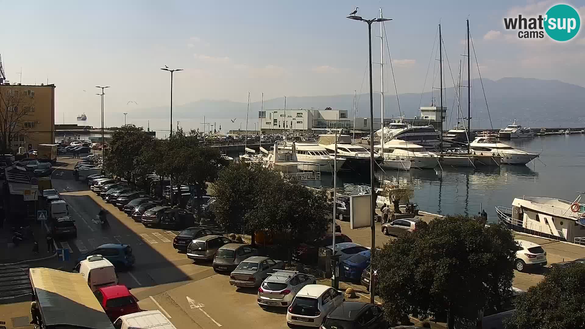Riva i Marina u Rijeci – Web kamera uživo u Hrvatskoj