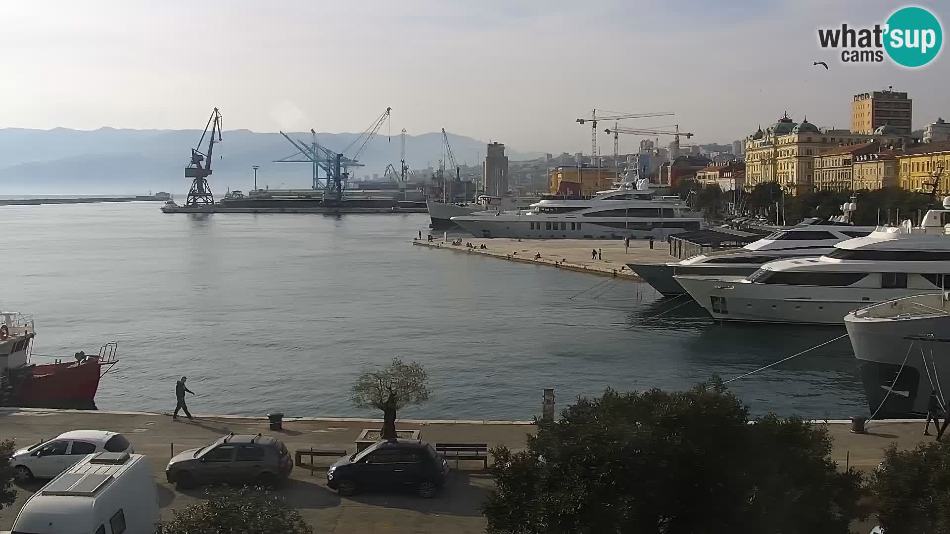 Riva i Marina u Rijeci – Web kamera uživo u Hrvatskoj