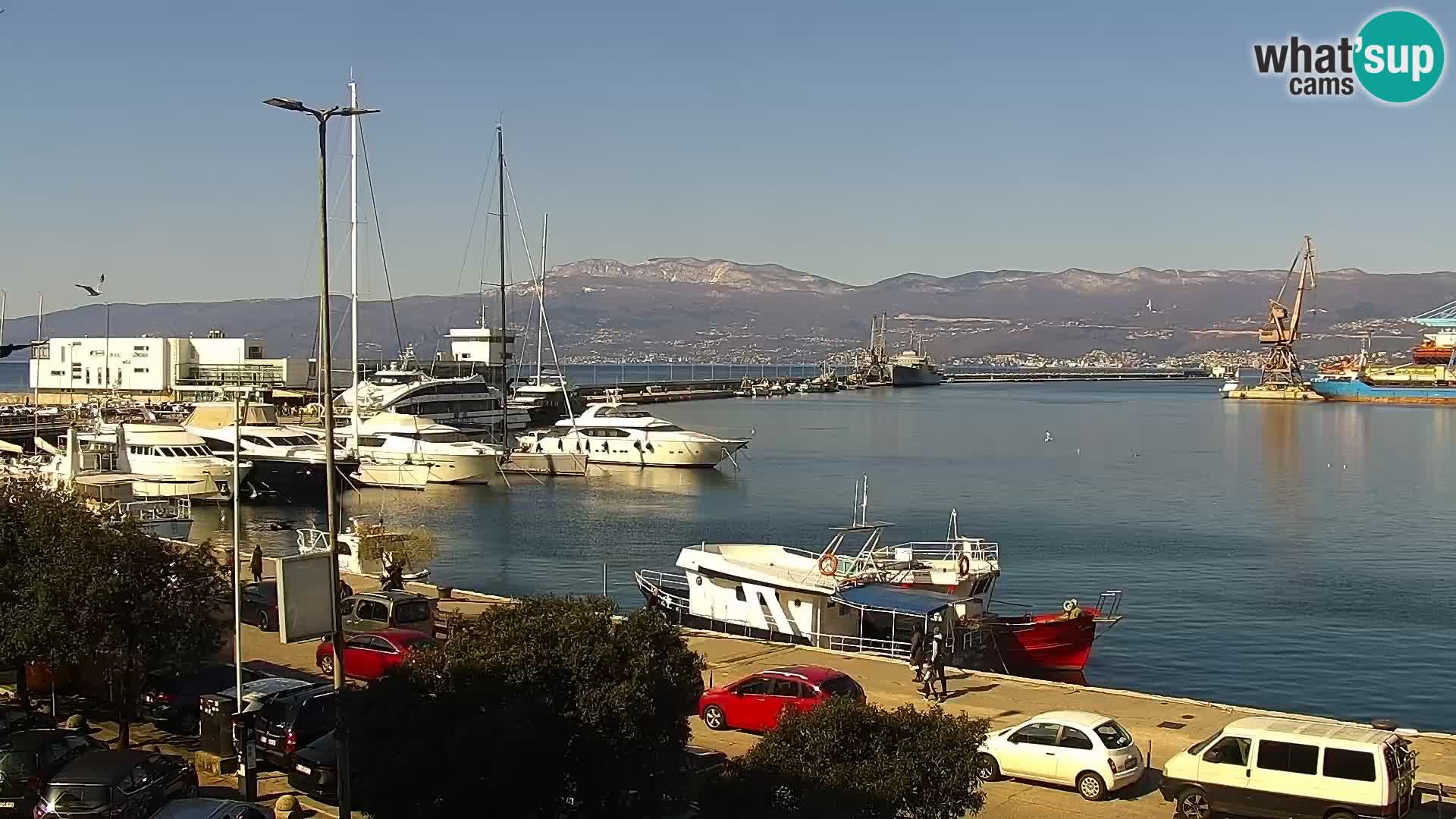 The Riva and Marina in Rijeka  – Live Webcam Croatia