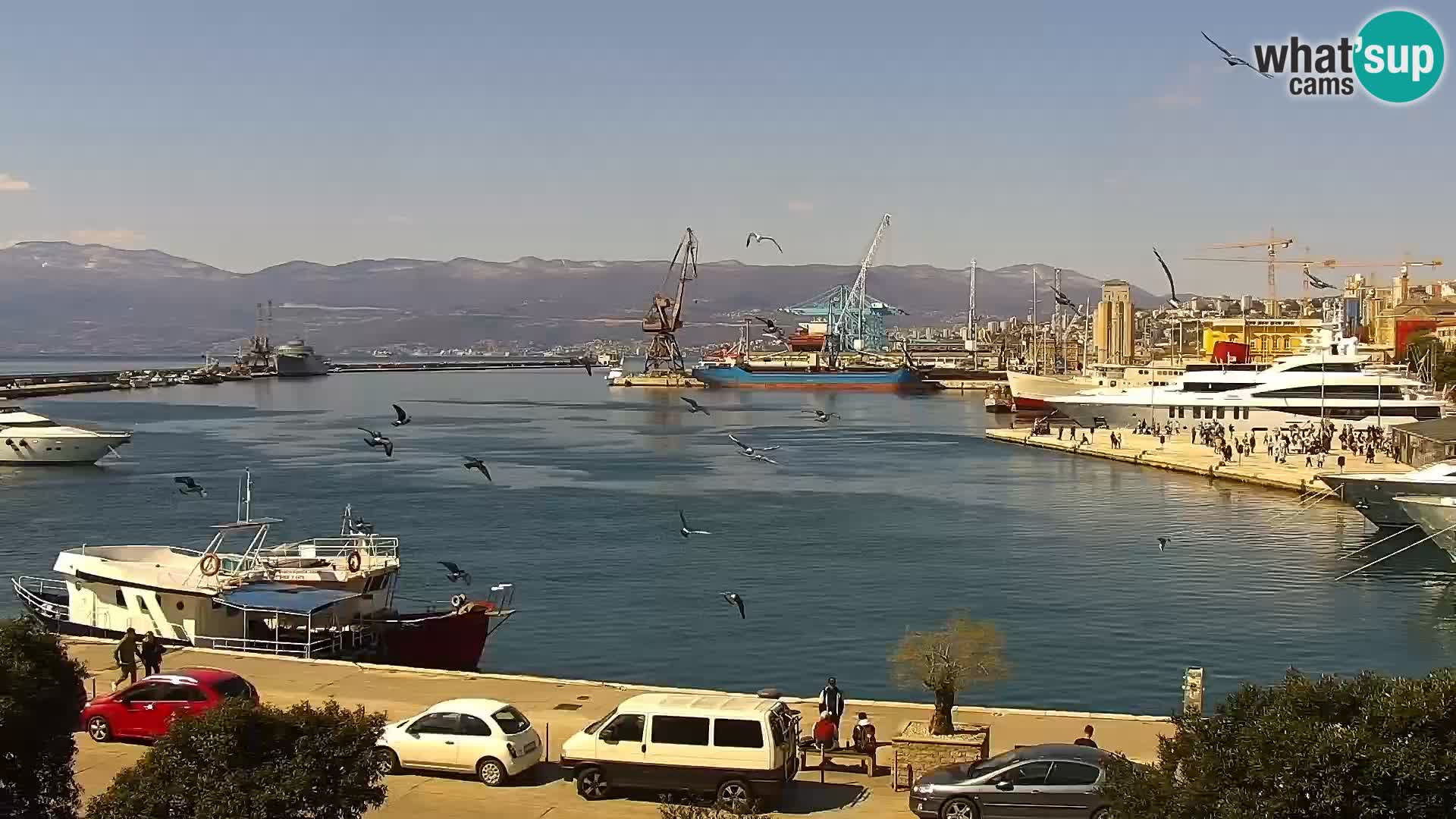 Riva in Marina v Reki – Spletna kamera v živo Hrvaška