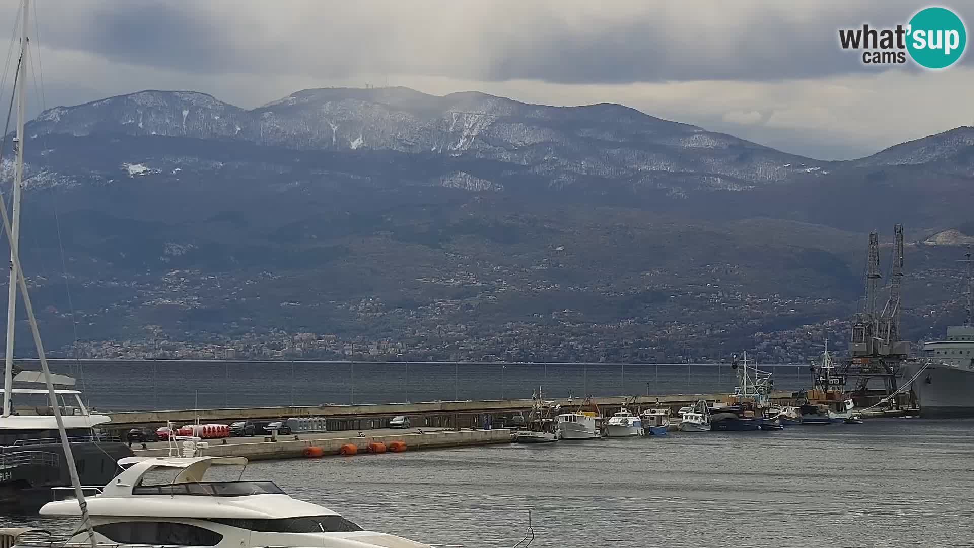 Die Riva und Marina in Rijeka – Live Webcam Kroatien