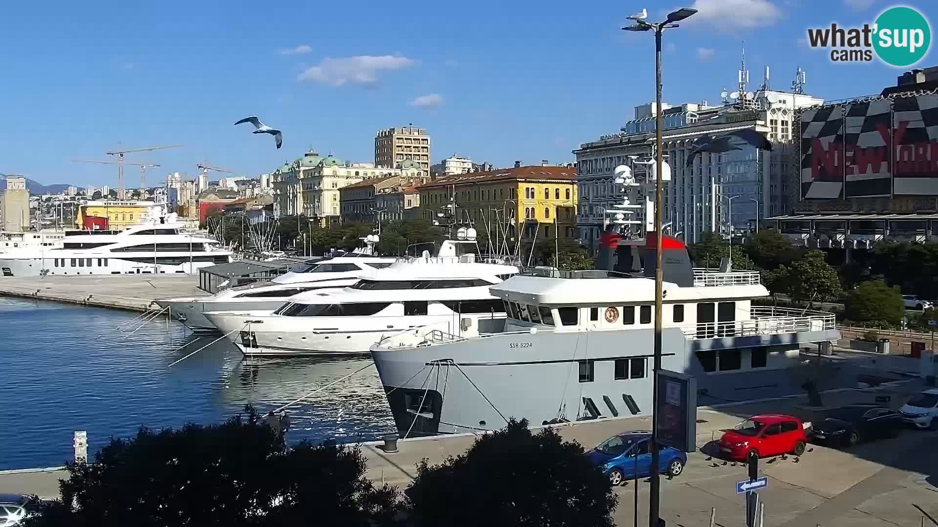 Die Riva und Marina in Rijeka – Live Webcam Kroatien