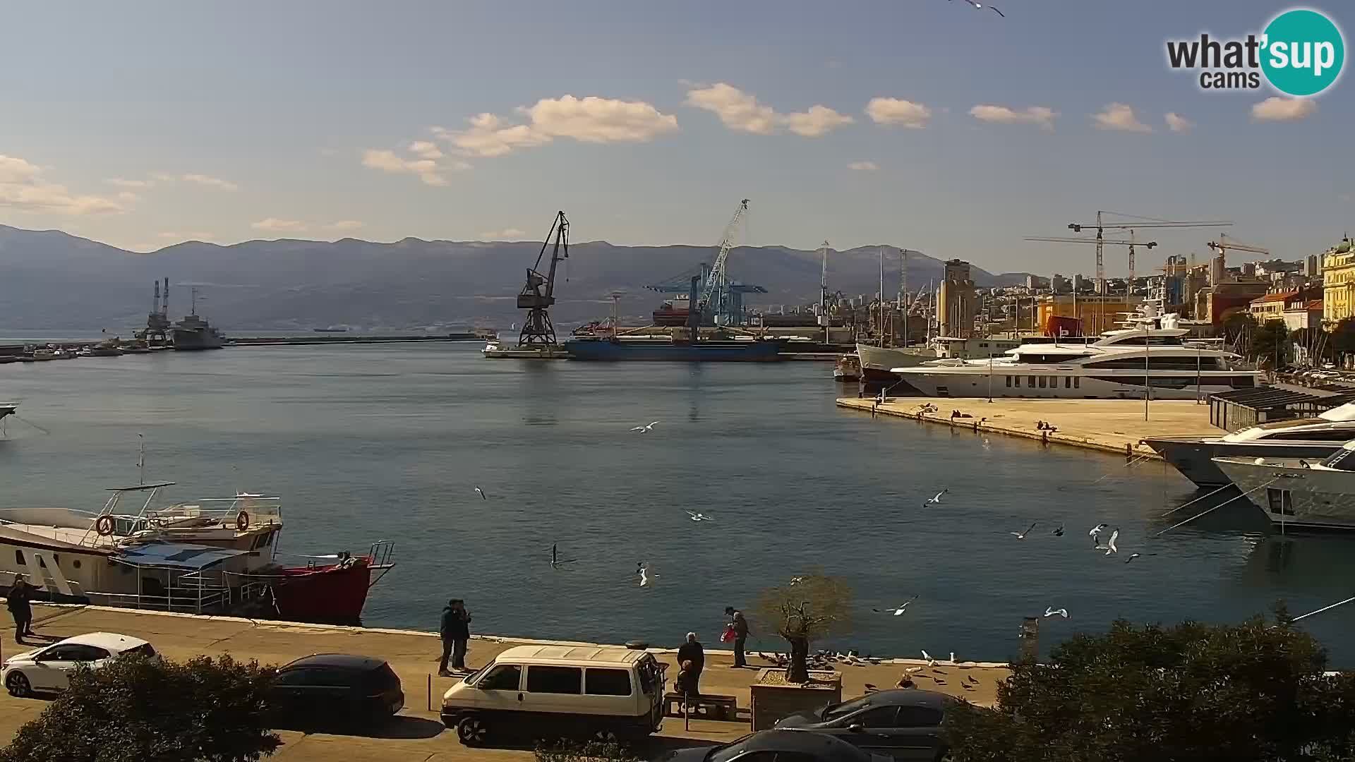 The Riva and Marina in Rijeka  – Live Webcam Croatia