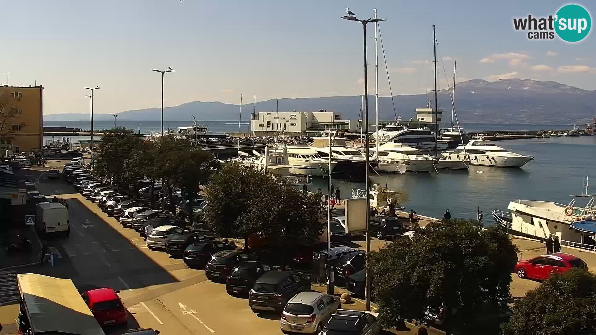 La Riva e la Marina a Rijeka (Fiume) – Live Webcam Croazia