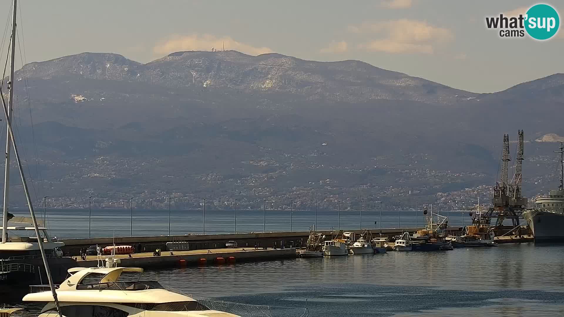 Die Riva und Marina in Rijeka – Live Webcam Kroatien