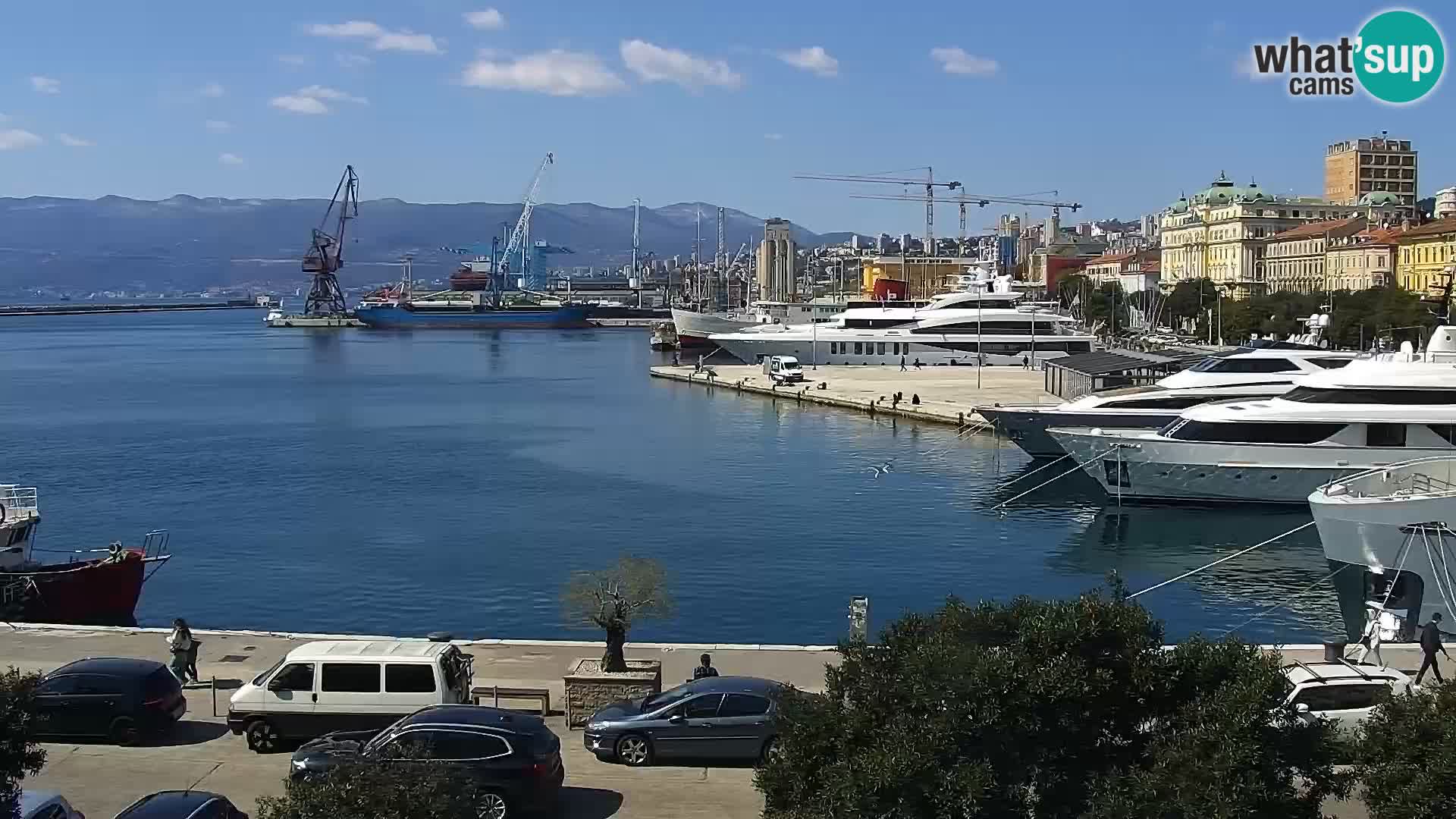 Die Riva und Marina in Rijeka – Live Webcam Kroatien