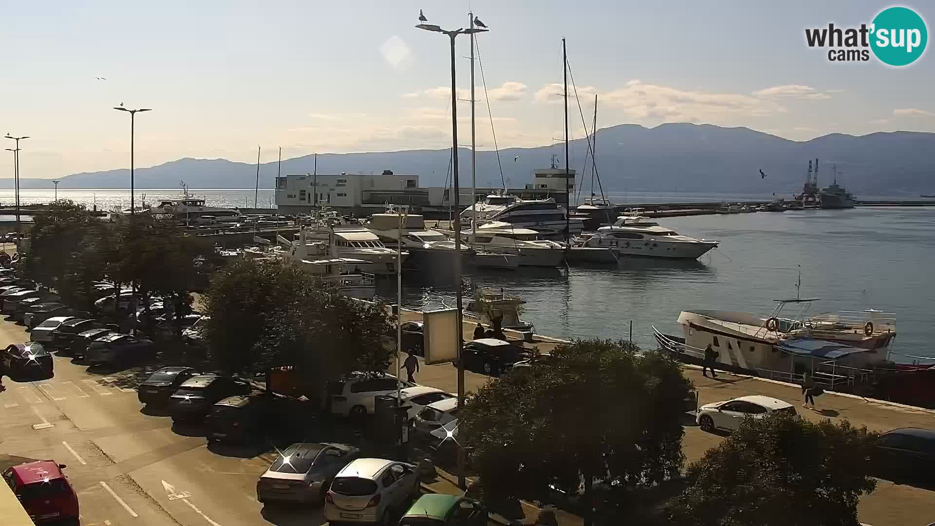 Riva in Marina v Reki – Spletna kamera v živo Hrvaška