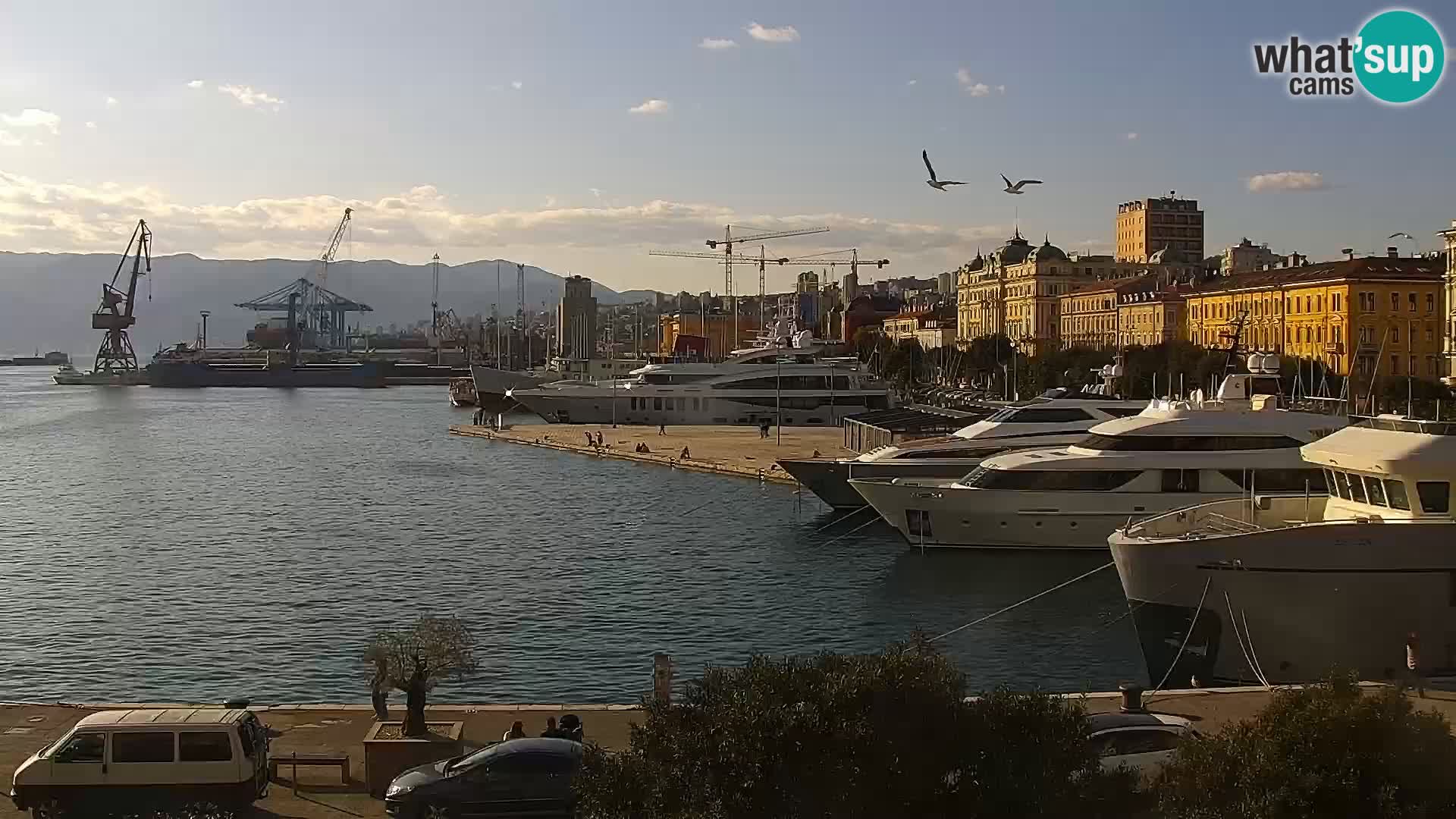 Riva in Marina v Reki – Spletna kamera v živo Hrvaška