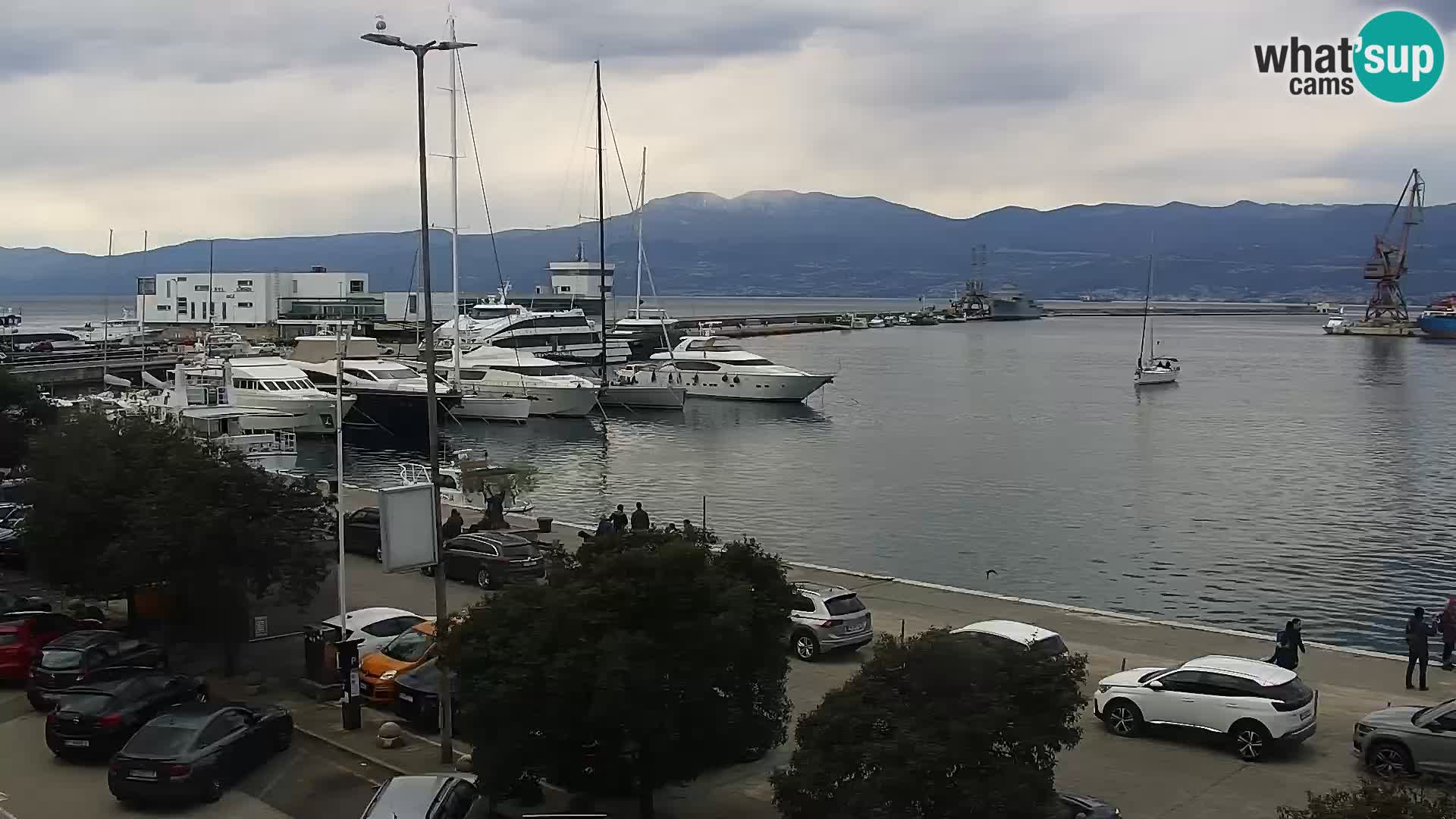 Riva i Marina u Rijeci – Web kamera uživo u Hrvatskoj