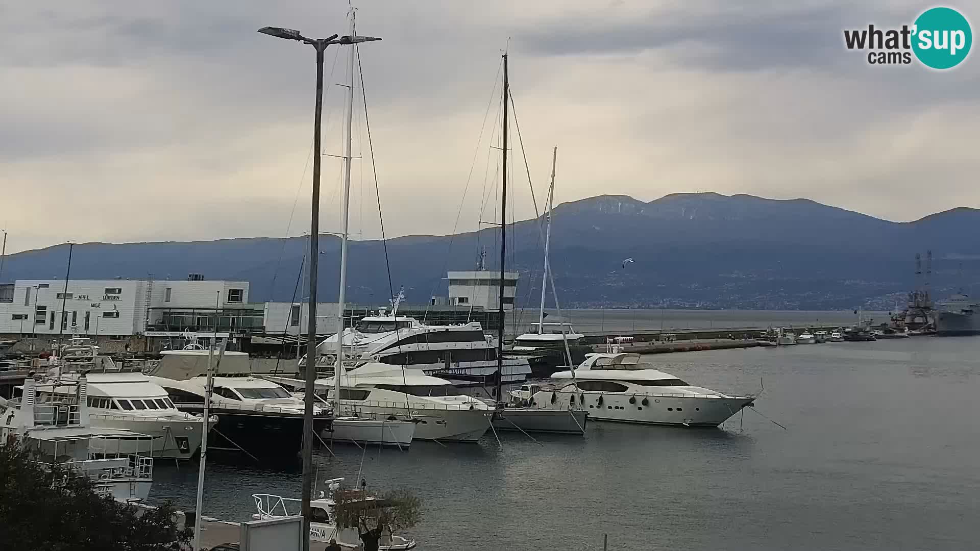 La Riva y Marina en Rijeka – Webcam en vivo Croacia