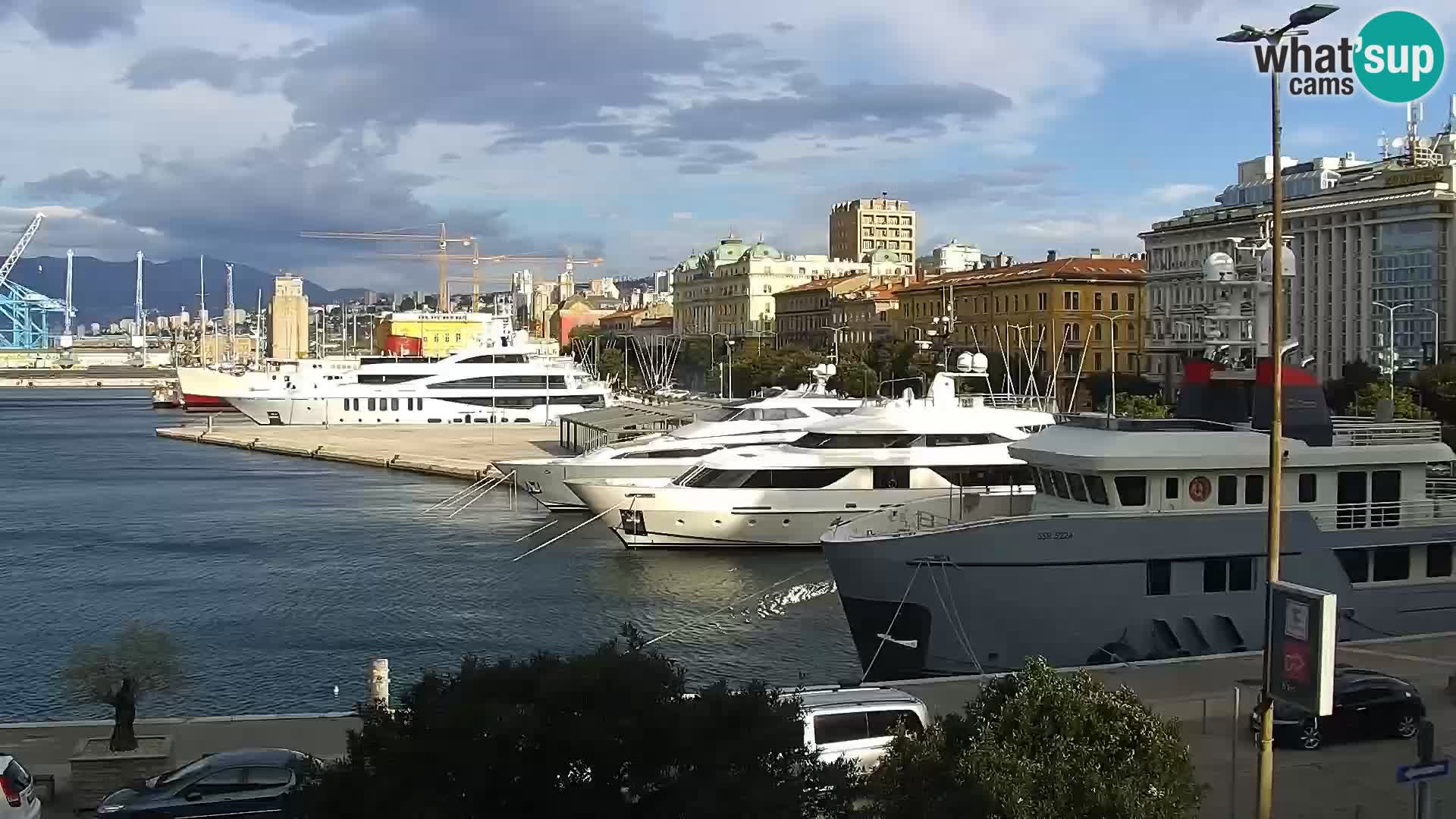 Riva i Marina u Rijeci – Web kamera uživo u Hrvatskoj