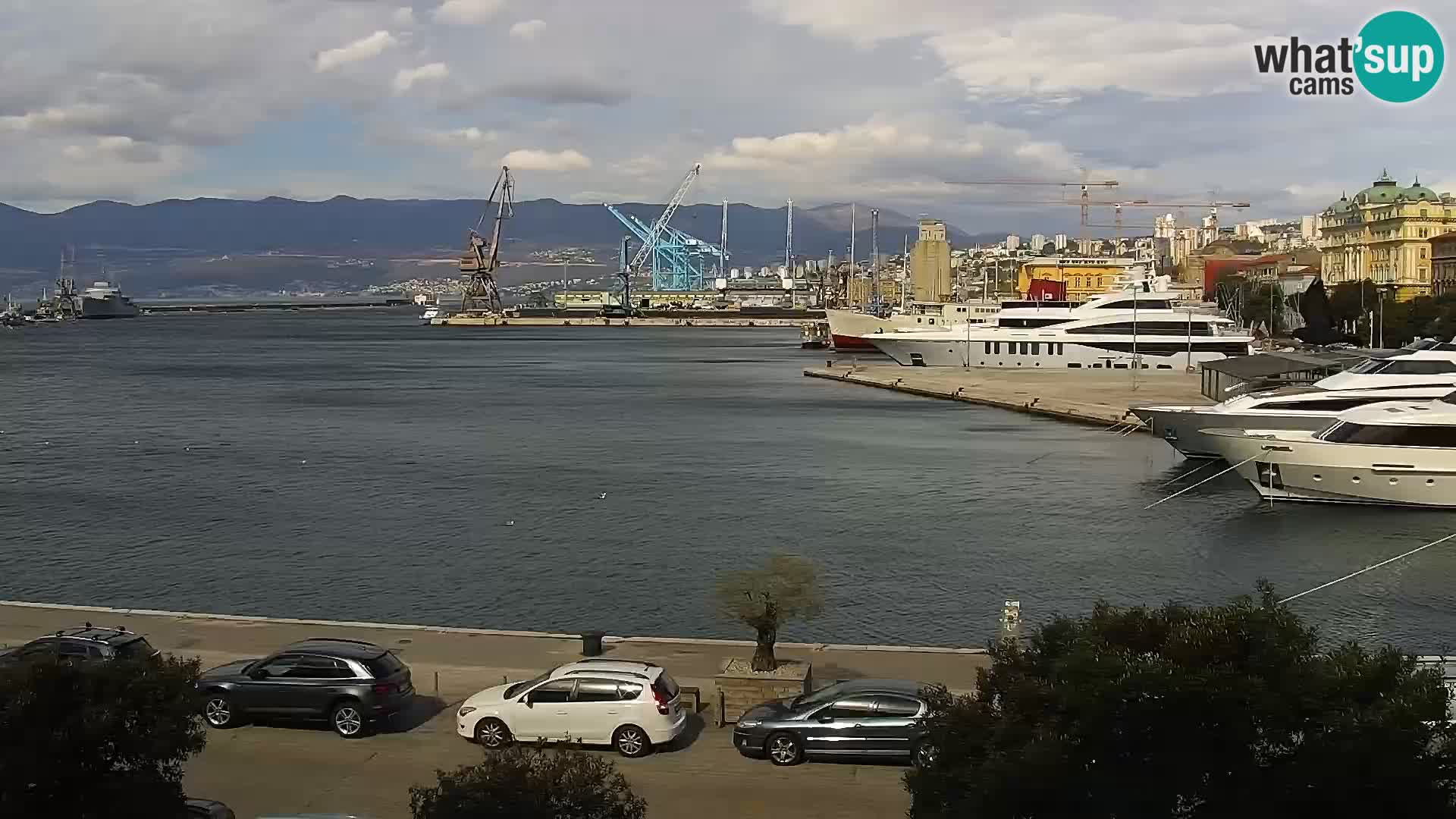 Riva i Marina u Rijeci – Web kamera uživo u Hrvatskoj