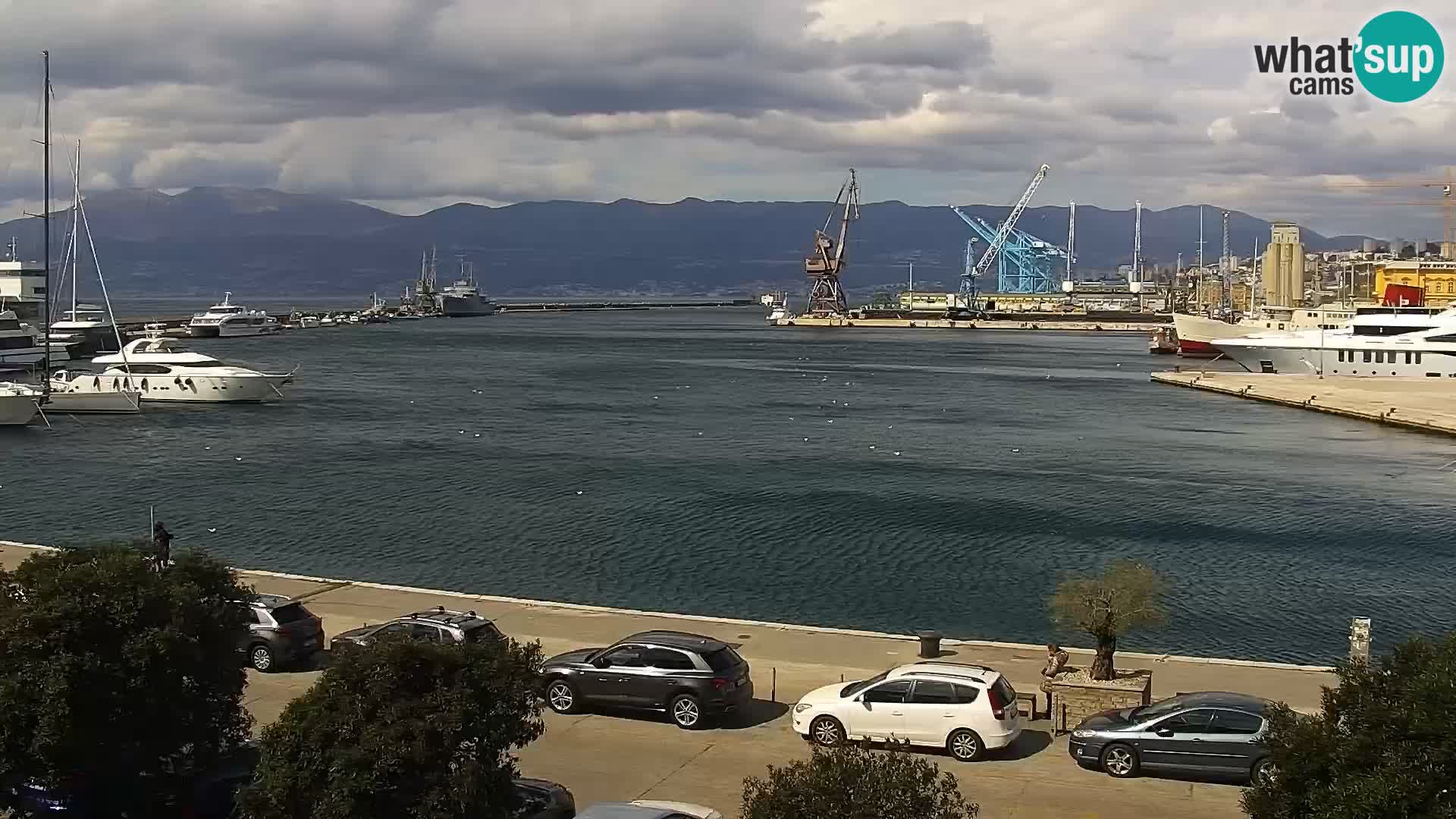 La Riva y Marina en Rijeka – Webcam en vivo Croacia