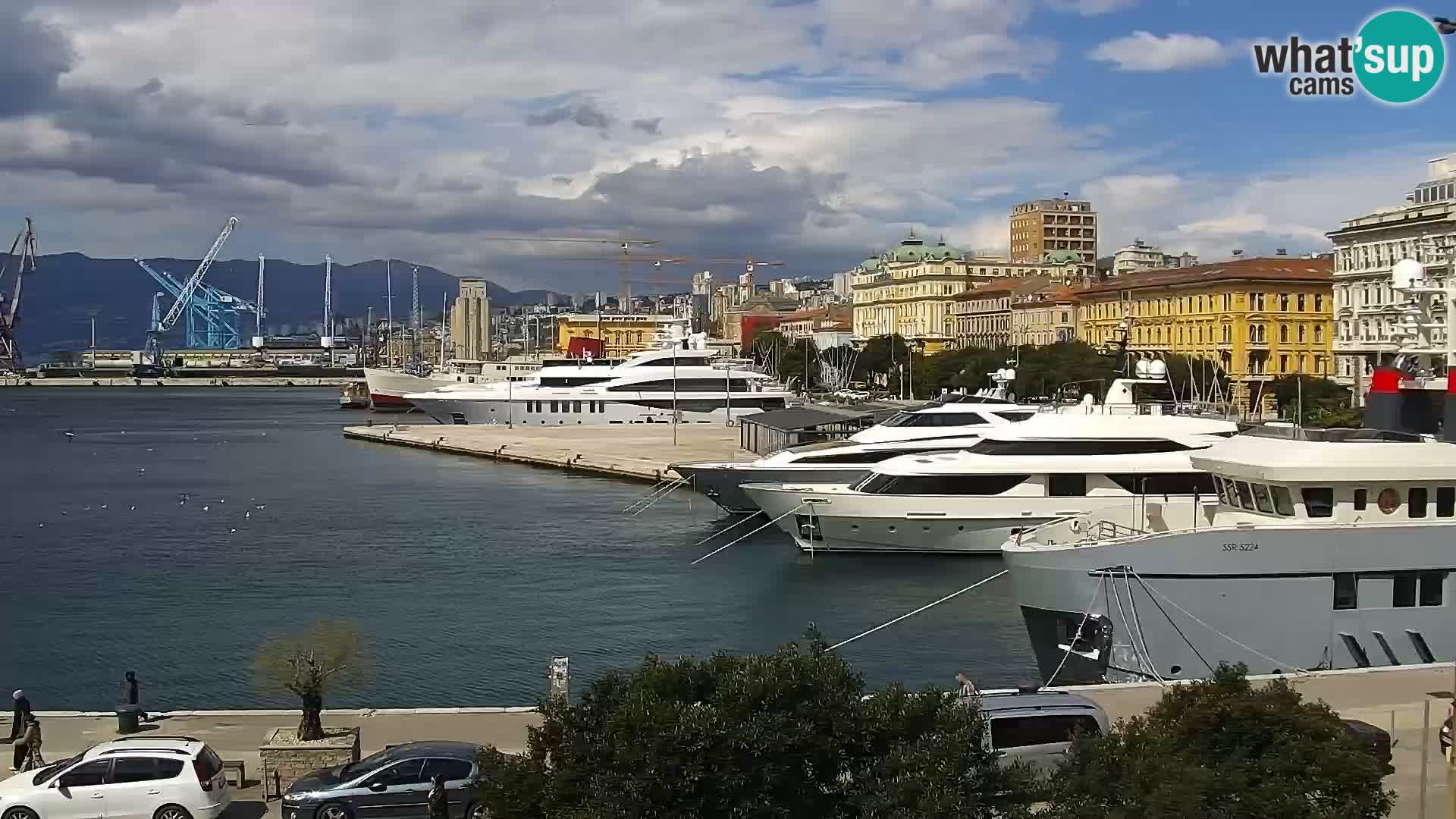La Riva y Marina en Rijeka – Webcam en vivo Croacia