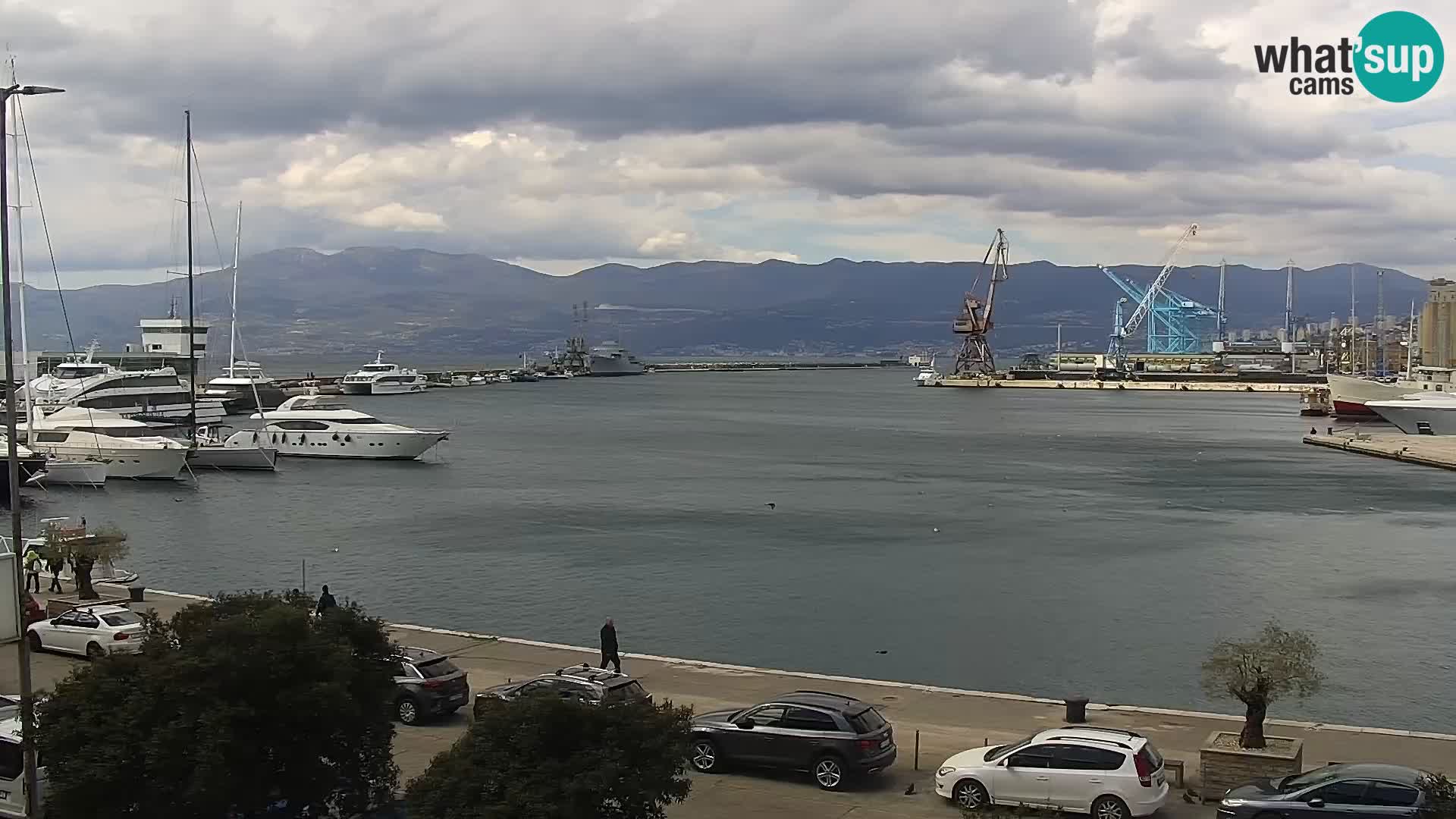 Die Riva und Marina in Rijeka – Live Webcam Kroatien