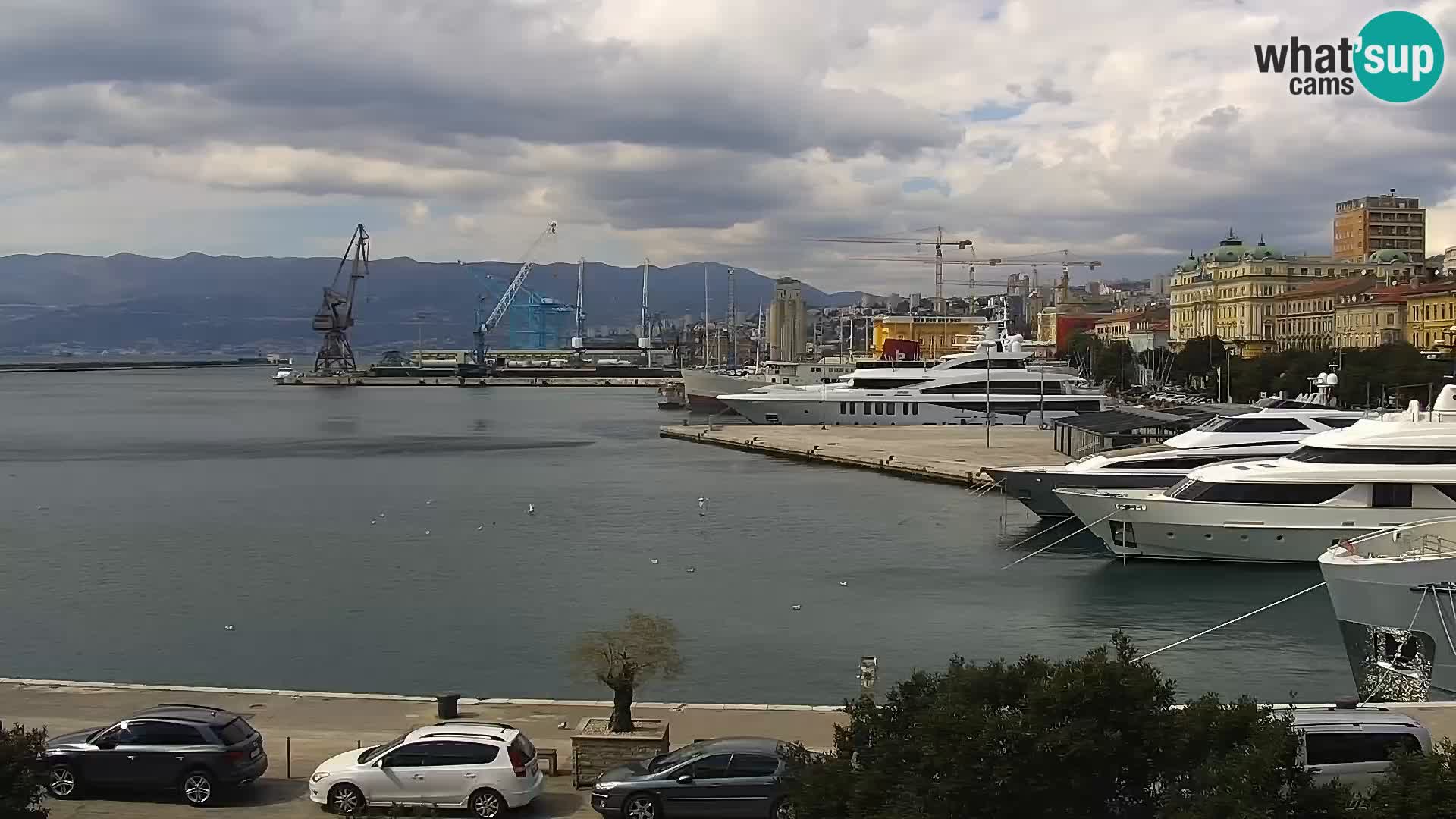 The Riva and Marina in Rijeka  – Live Webcam Croatia