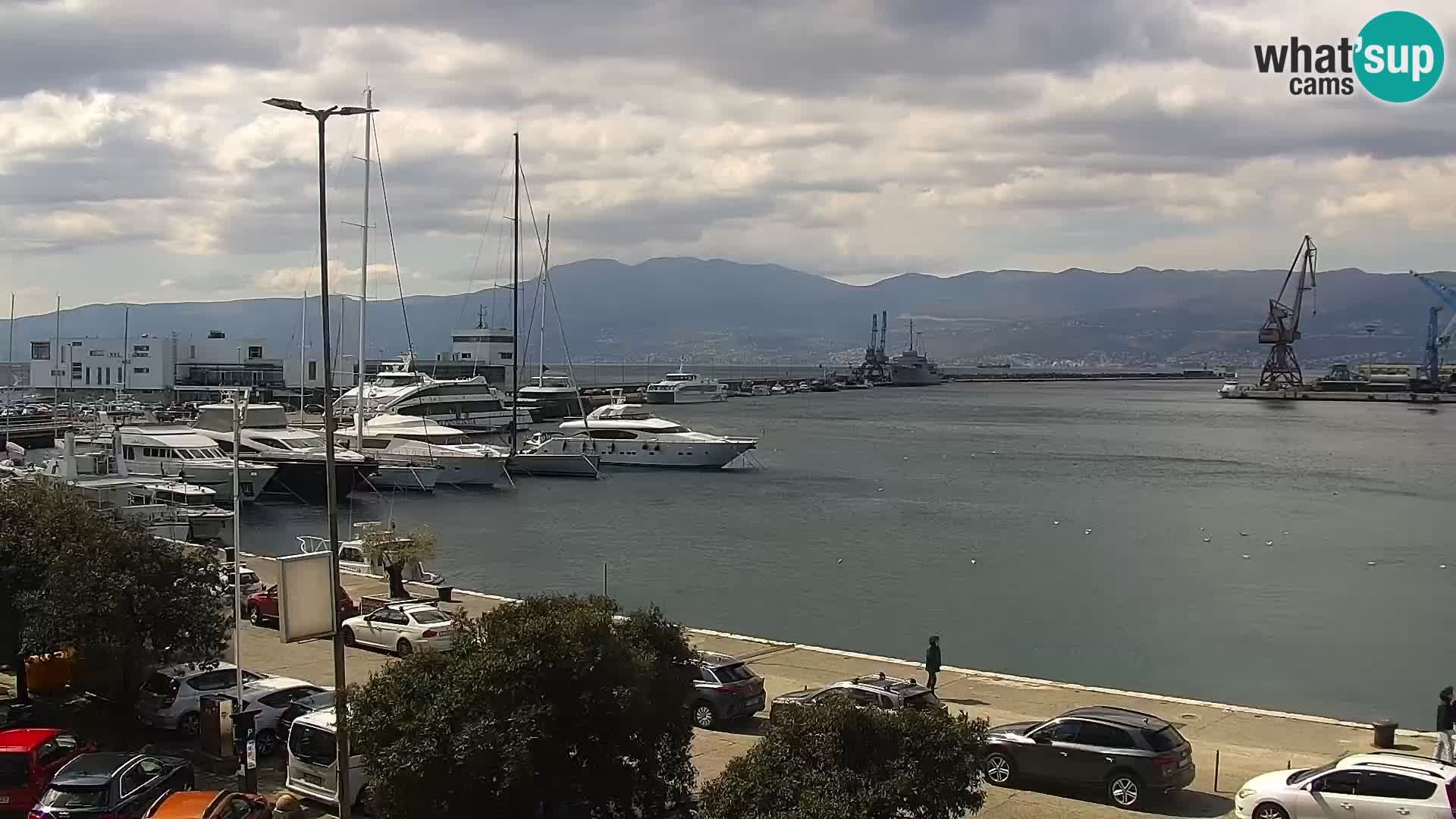 Die Riva und Marina in Rijeka – Live Webcam Kroatien