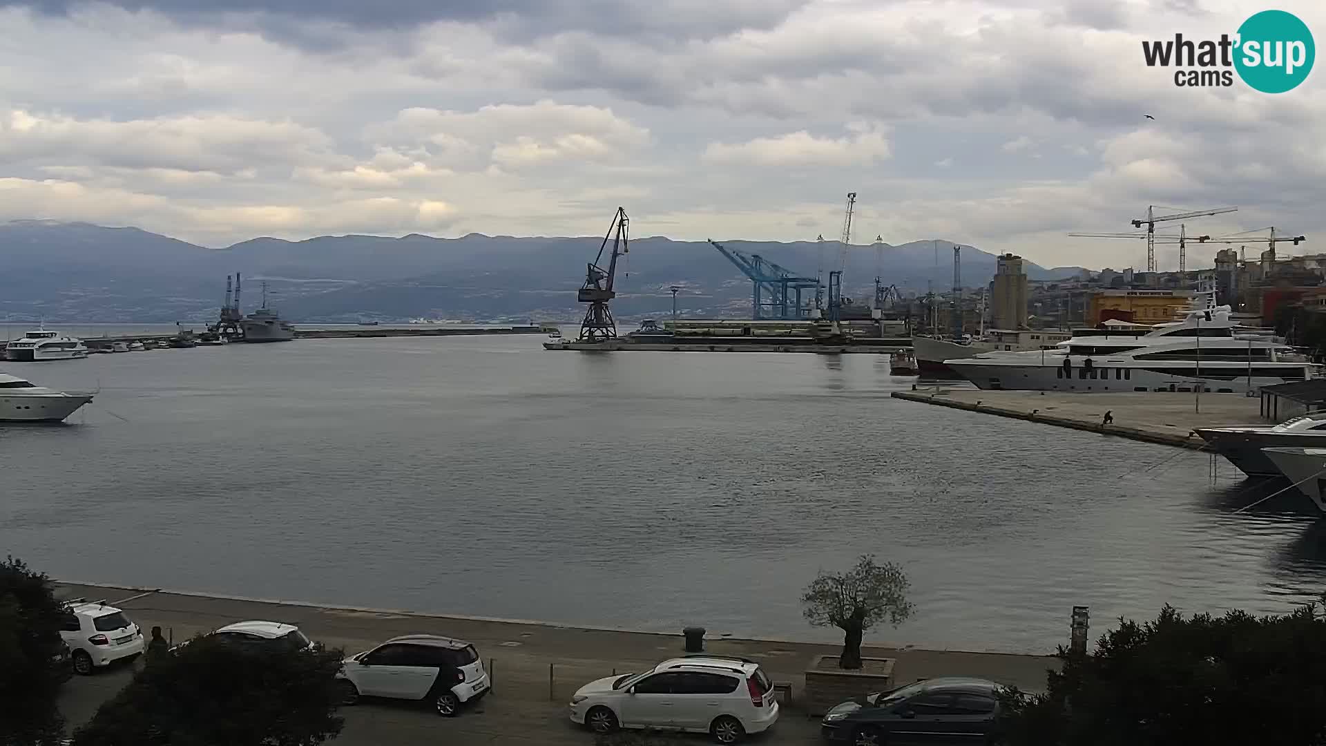 La Riva y Marina en Rijeka – Webcam en vivo Croacia