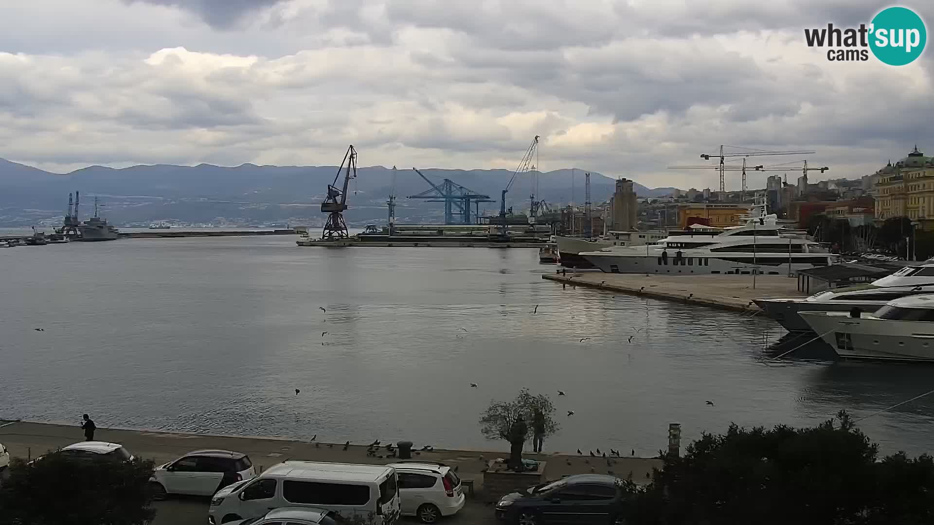 Riva i Marina u Rijeci – Web kamera uživo u Hrvatskoj