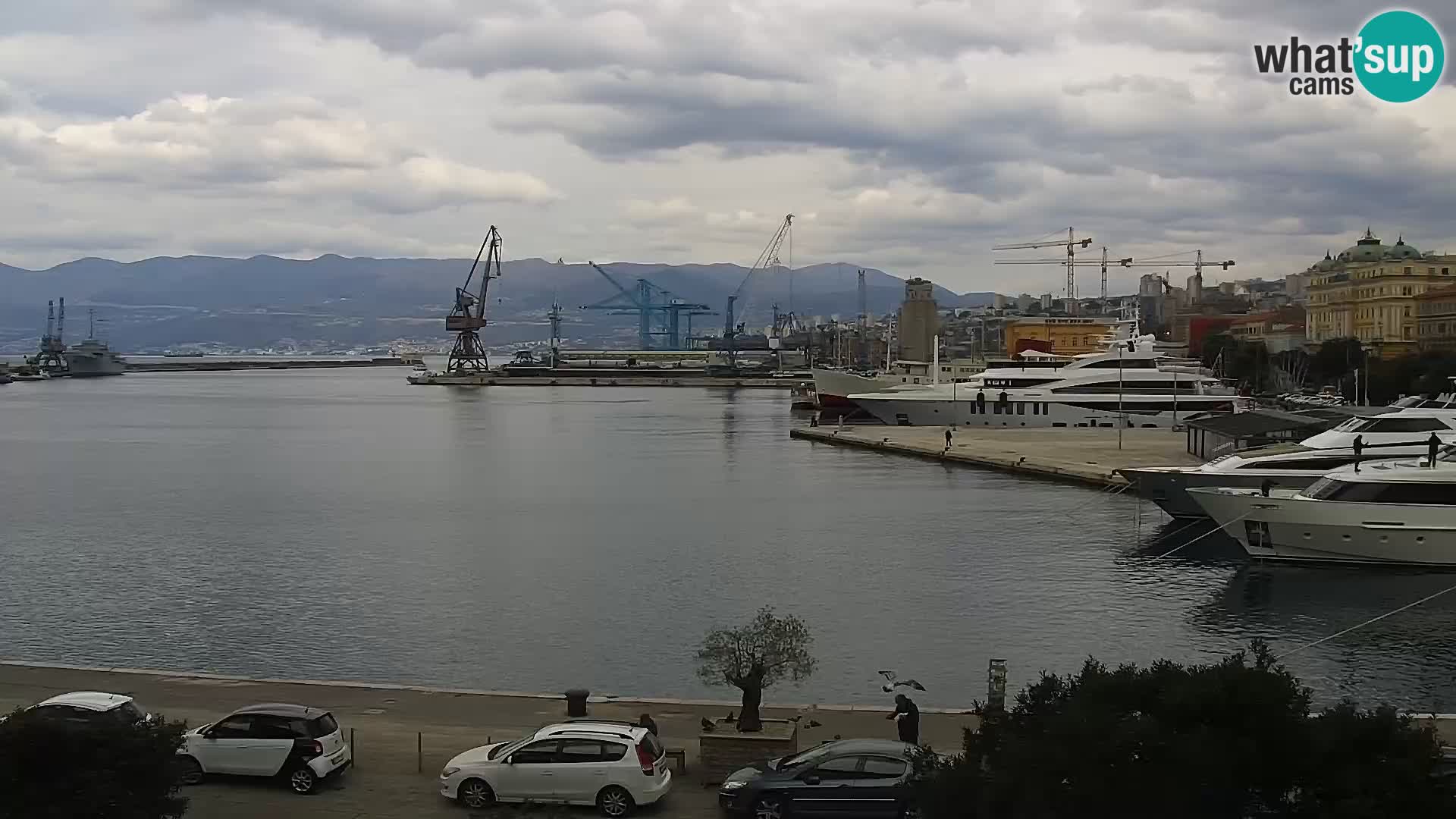 Die Riva und Marina in Rijeka – Live Webcam Kroatien