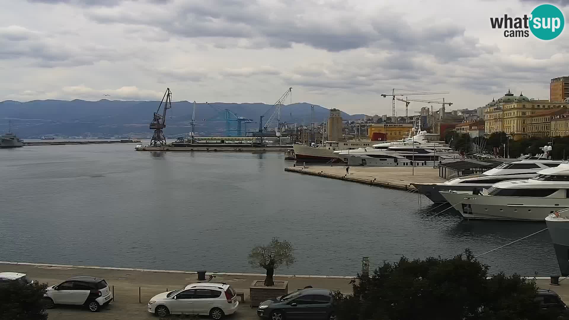 The Riva and Marina in Rijeka  – Live Webcam Croatia