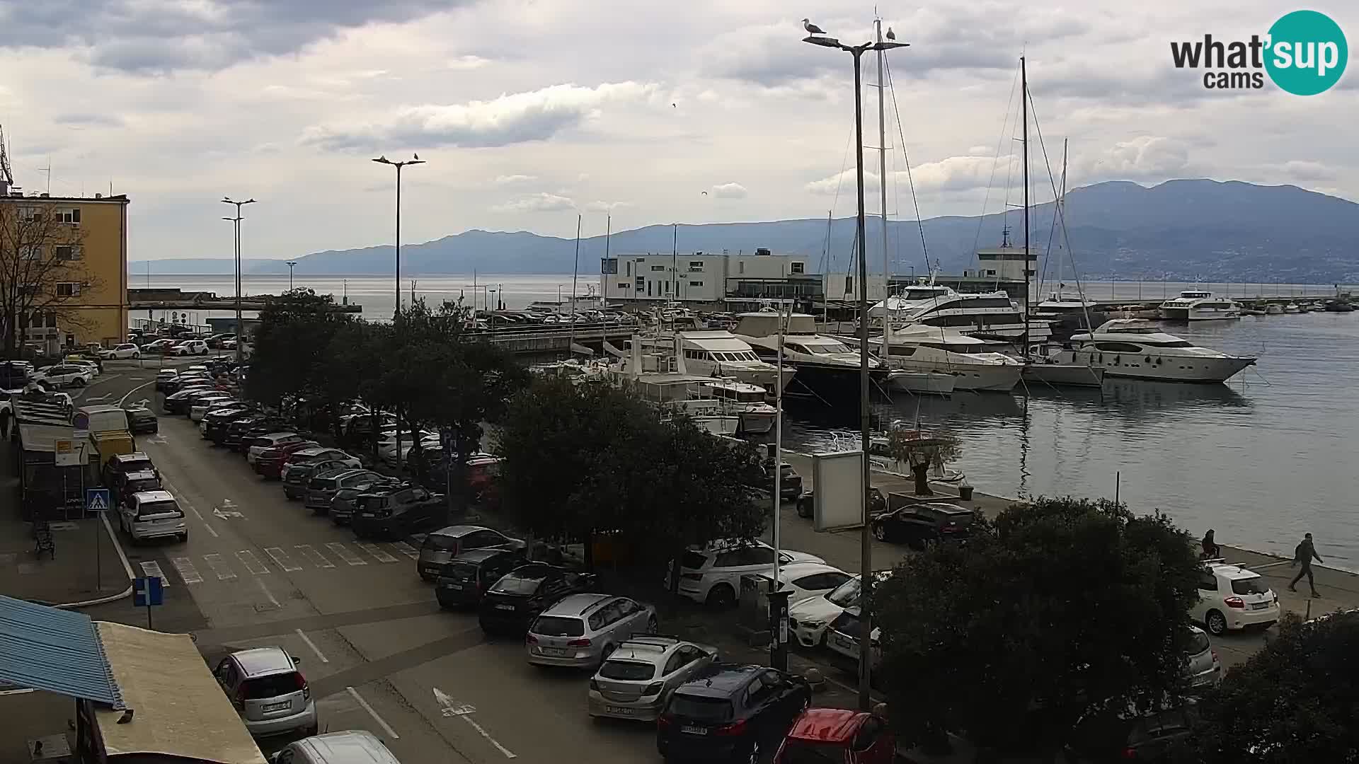 Die Riva und Marina in Rijeka – Live Webcam Kroatien